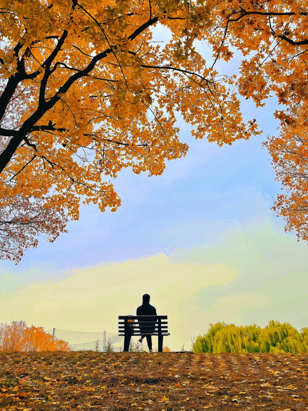 北京的秋天不这样玩儿等于白来！美到窒息！