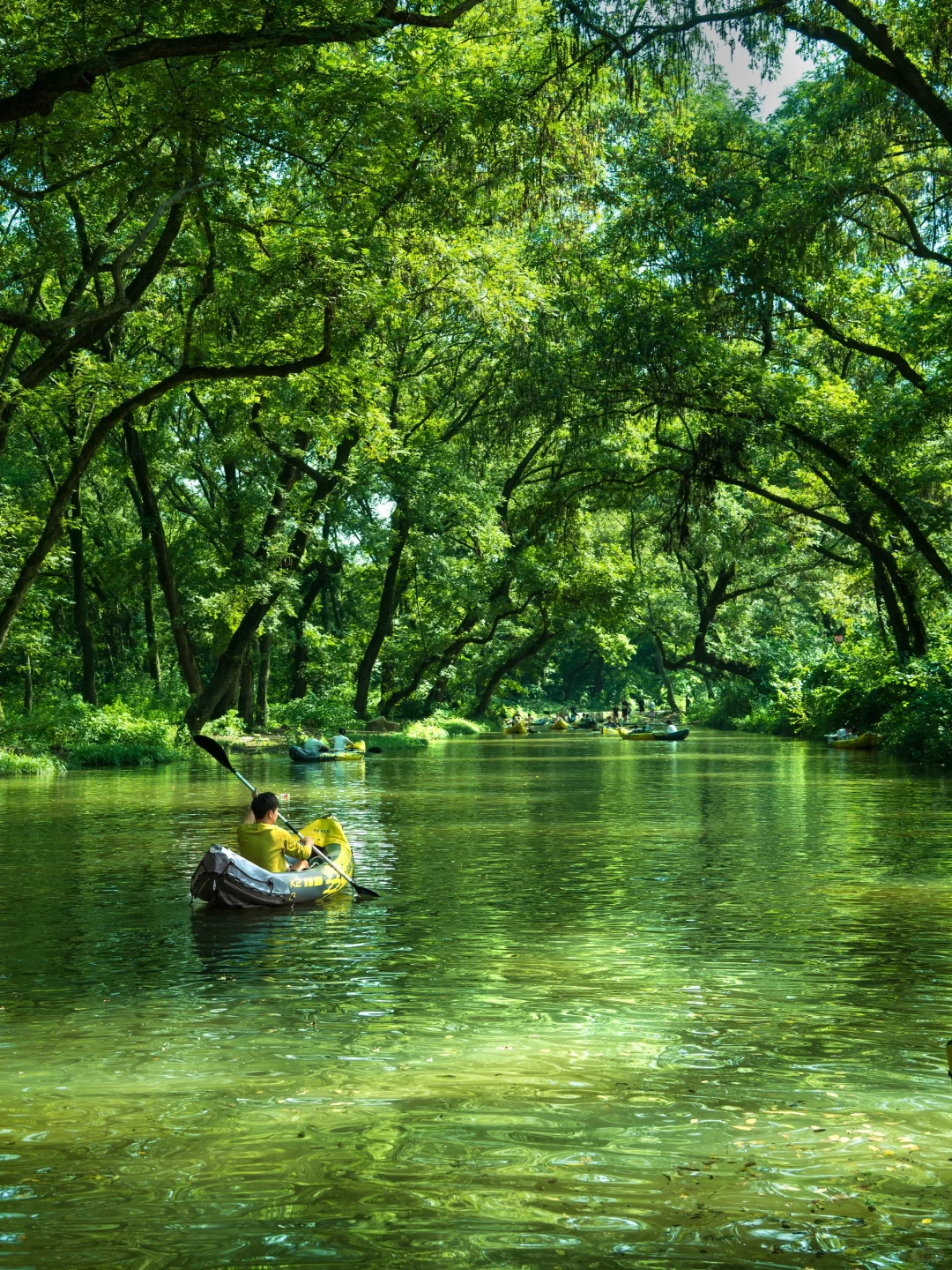 河南真正的绿野仙踪🌲好治愈