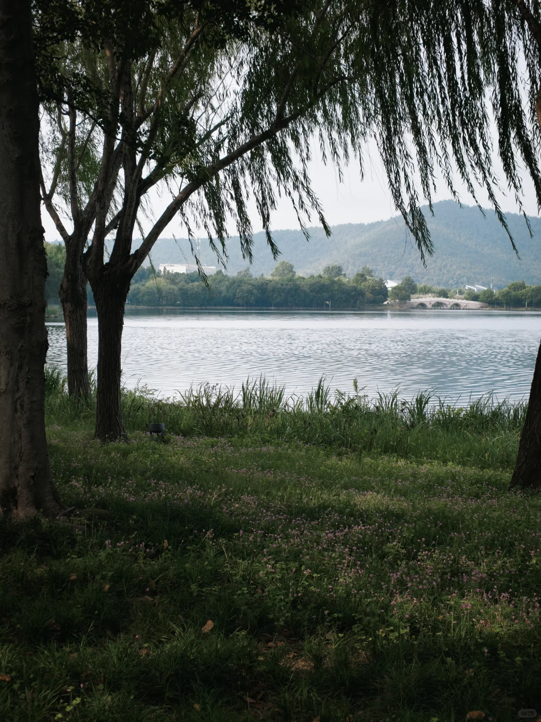 石湖真的是一个巨大的能量场