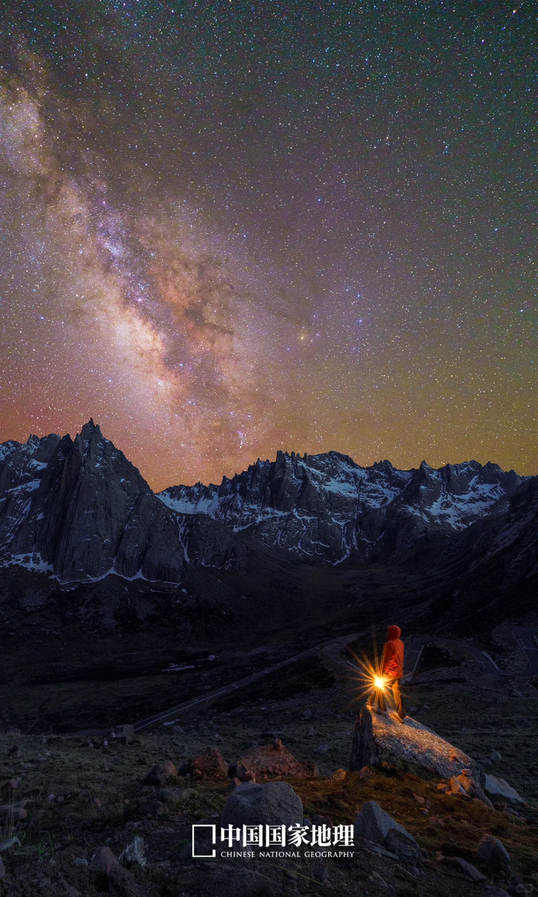 世界上，只有一个莲宝叶则！