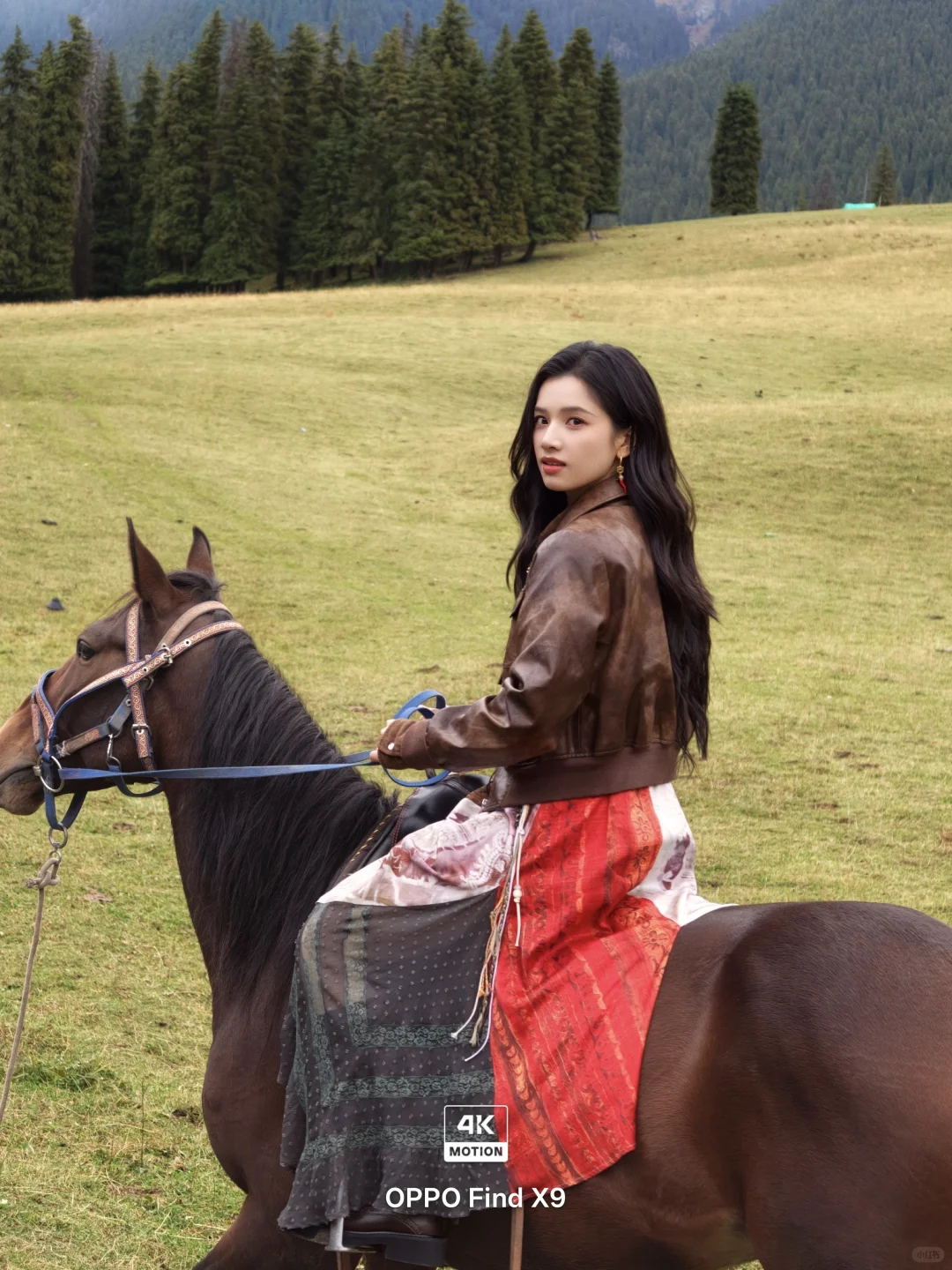 小红书能直发4K Live 啦？！