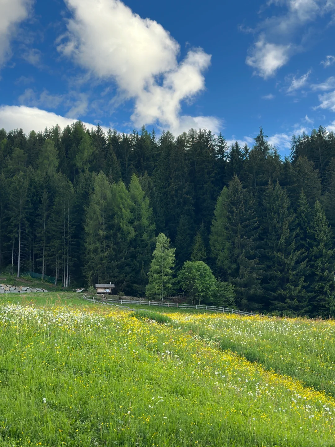 🇲🇾人均13.6k🐎 意大利自驾