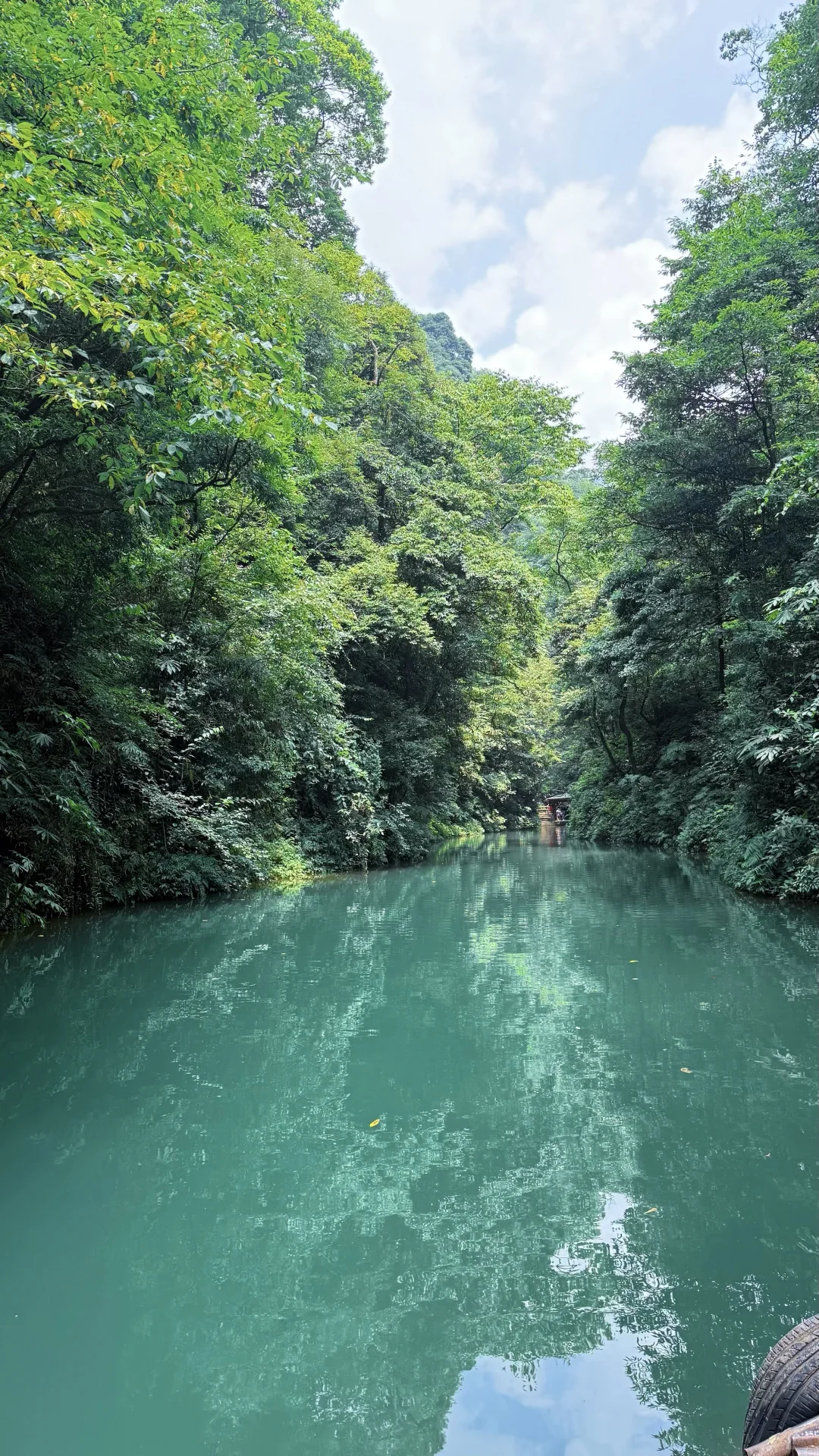 山林吸氧🍃青城后山一日徒步攻略