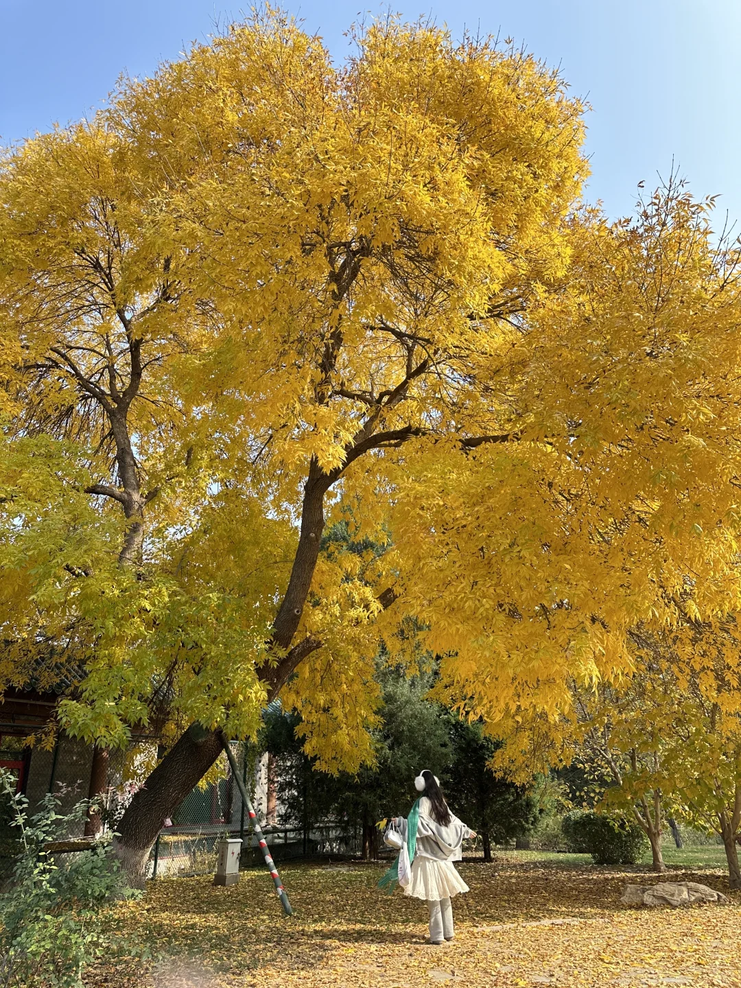 北平18图～🍂🍁 附位置📍