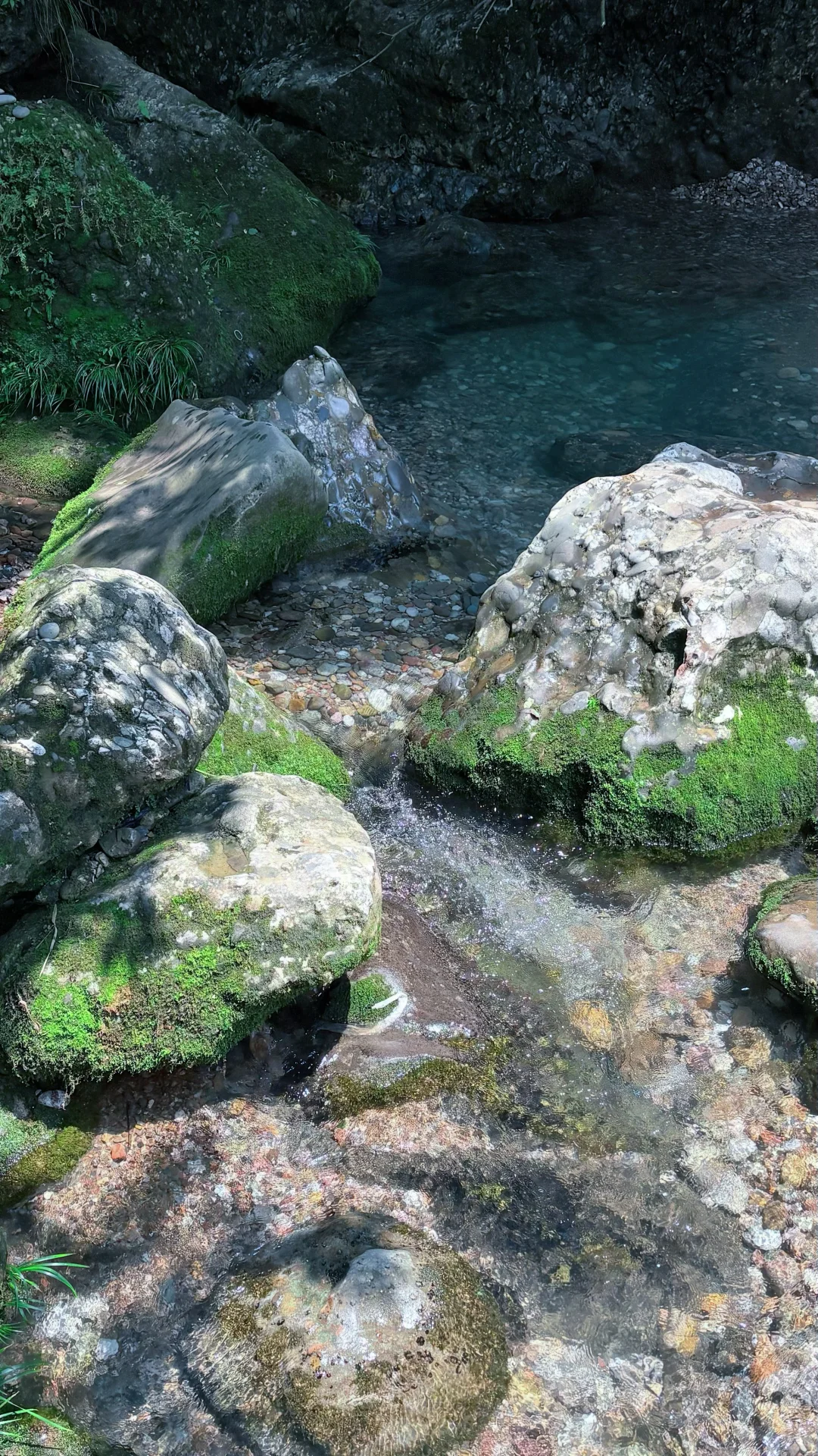 山林吸氧🍃青城后山一日徒步攻略