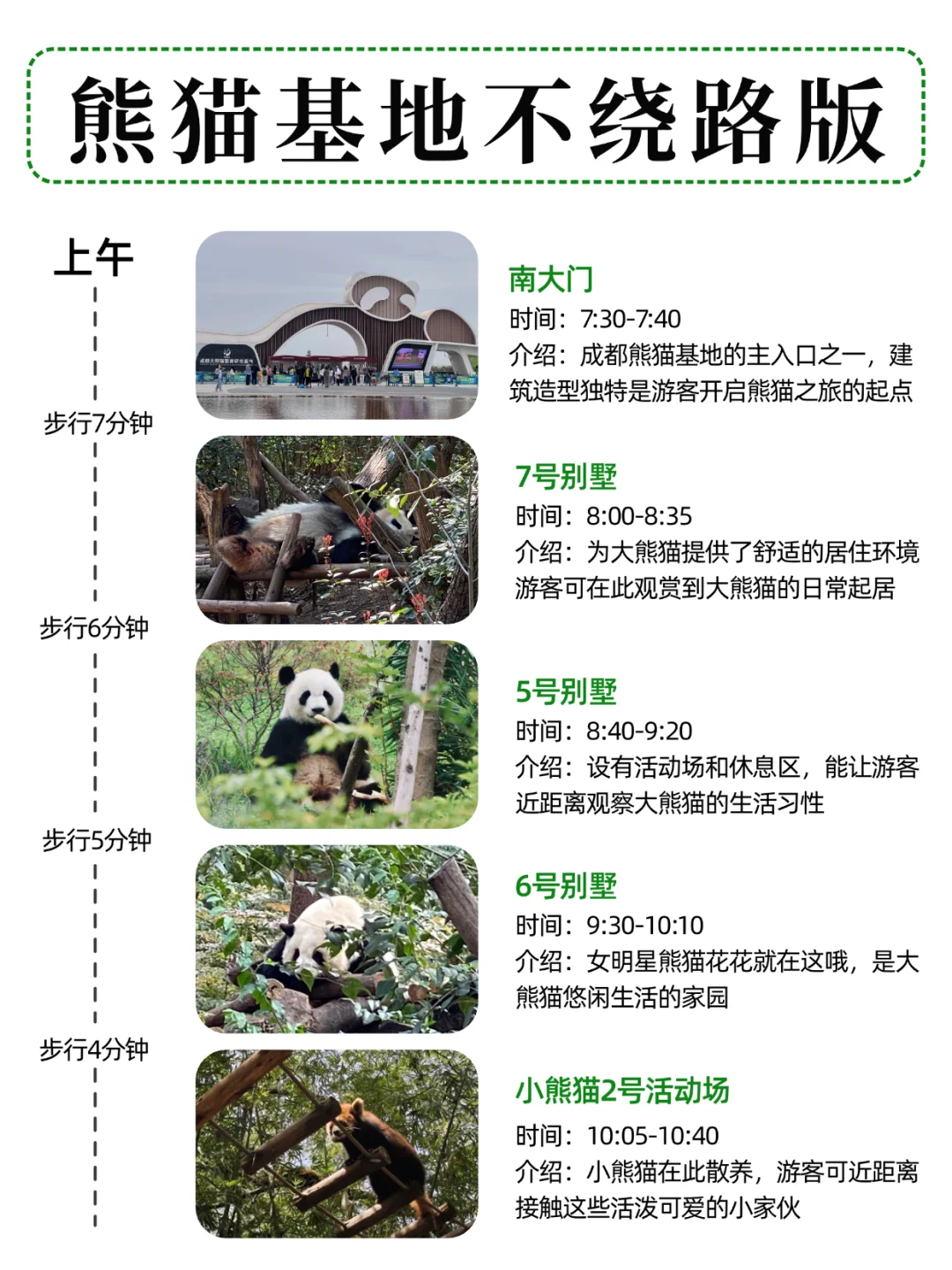 被自己手写的熊猫基地攻略满意得睡不着...