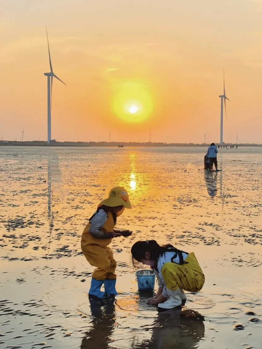 放弃三亚了，带娃去22℃的涠洲岛追鲸鱼啦~