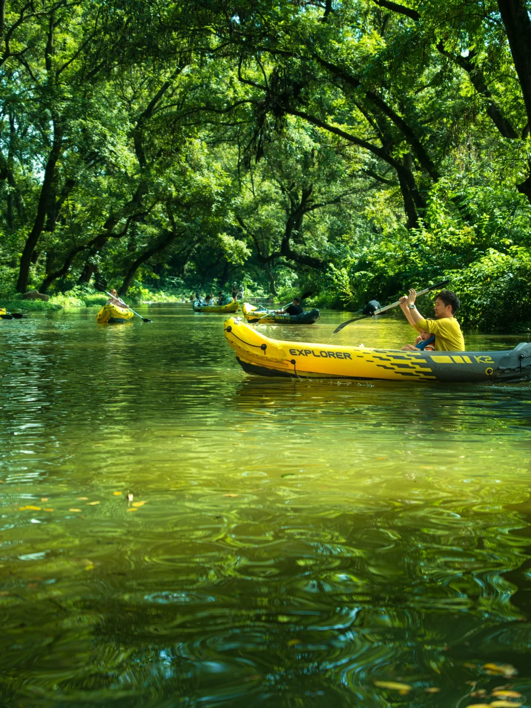 河南真正的绿野仙踪🌲好治愈