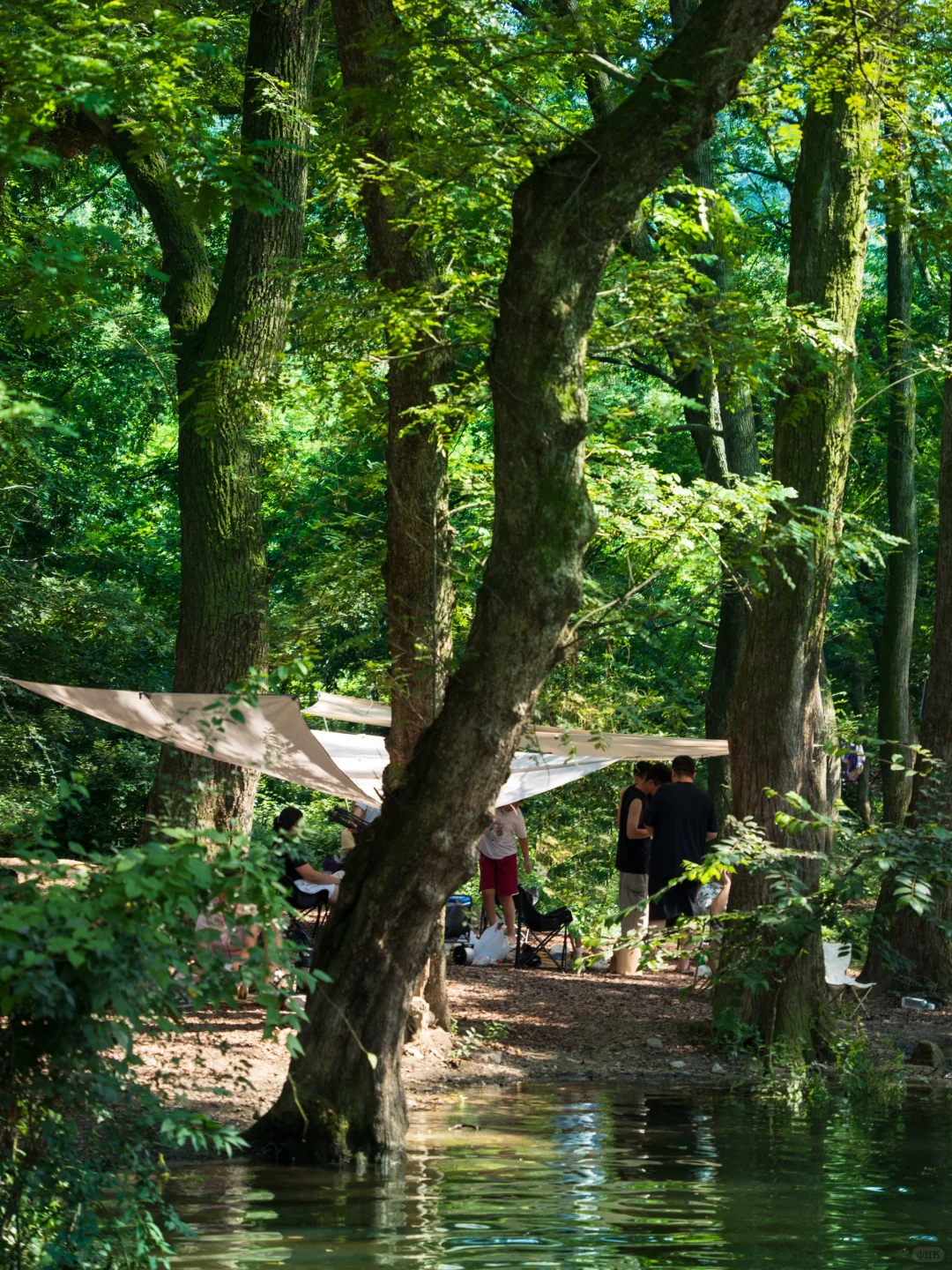 河南真正的绿野仙踪🌲好治愈