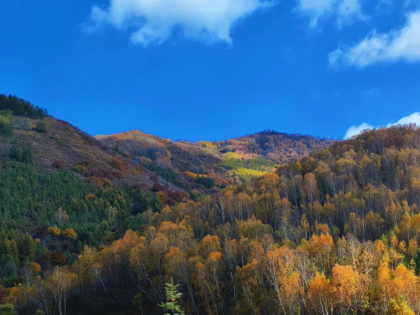 10.4崇礼太舞｜自驾2h追一场最绚烂的秋日