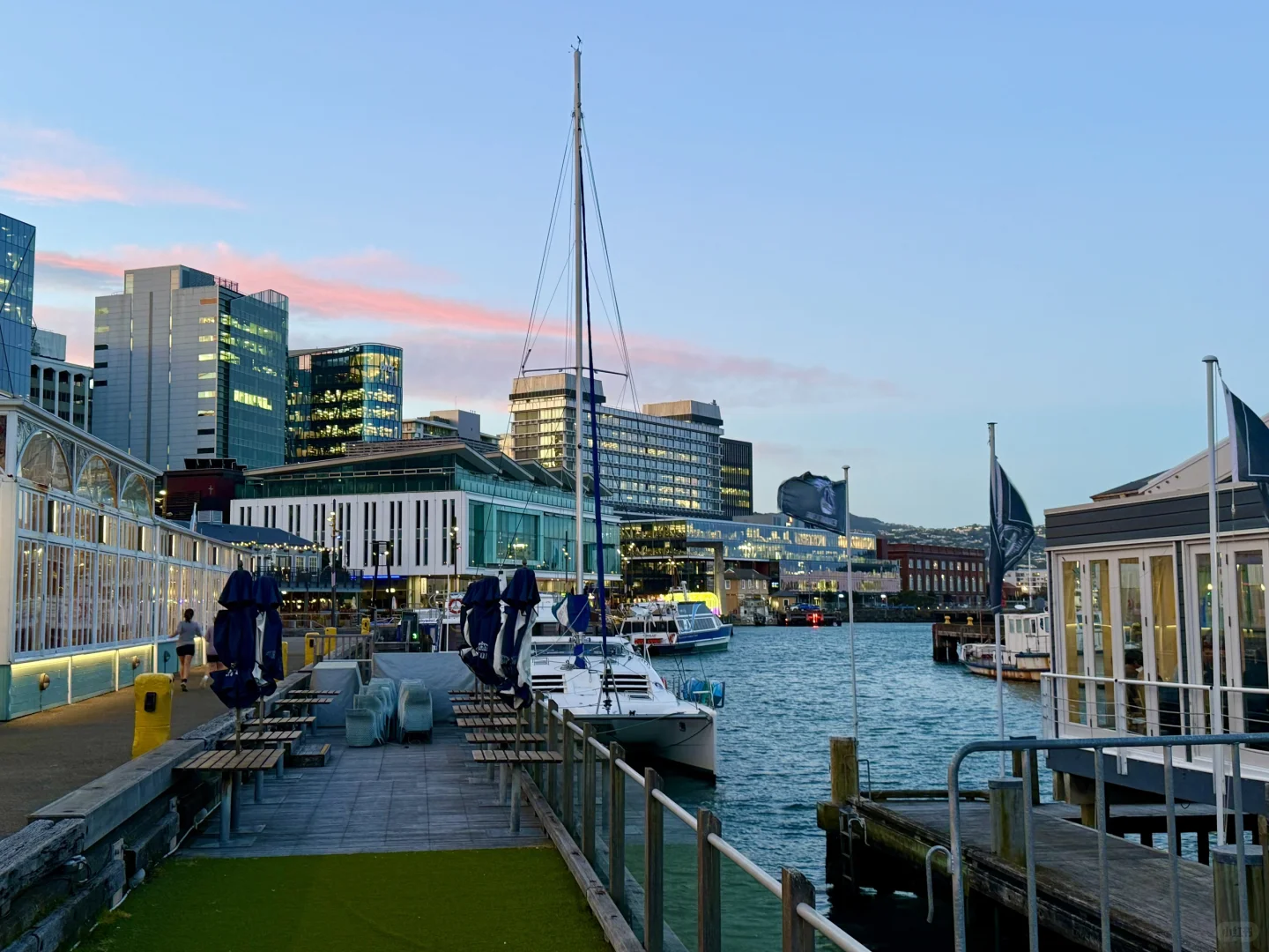 我愿称之为最酷小首都｜新西兰惠灵顿