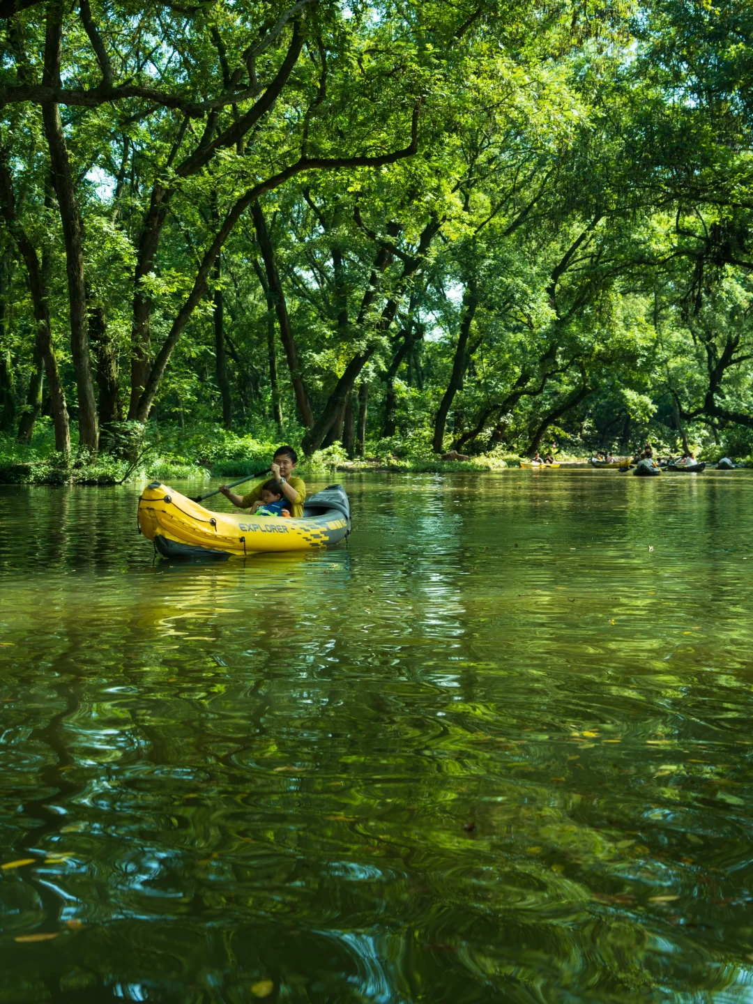 河南真正的绿野仙踪🌲好治愈