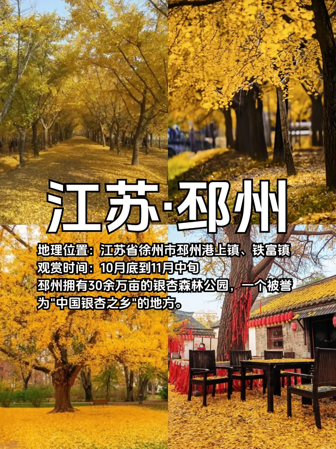 适合10、11月去赏秋的10个城市合集🍁