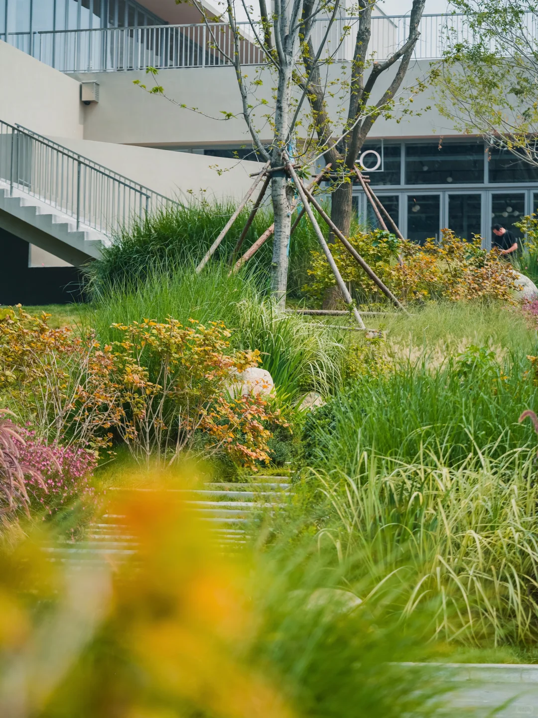 【石家庄｜秋日理想露营地🍂】