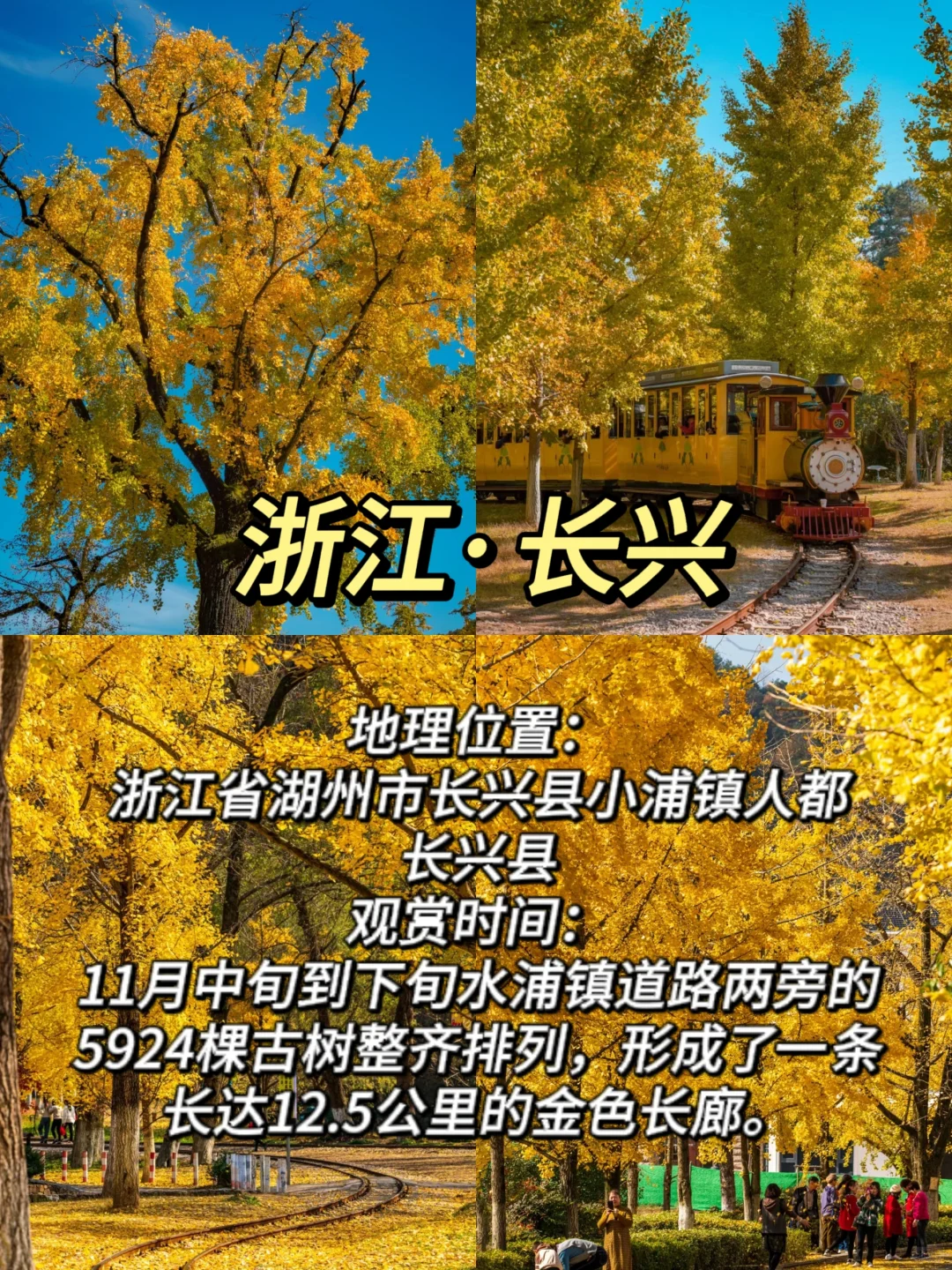 ✨适合11月赏秋的10个城市大合集🍁-