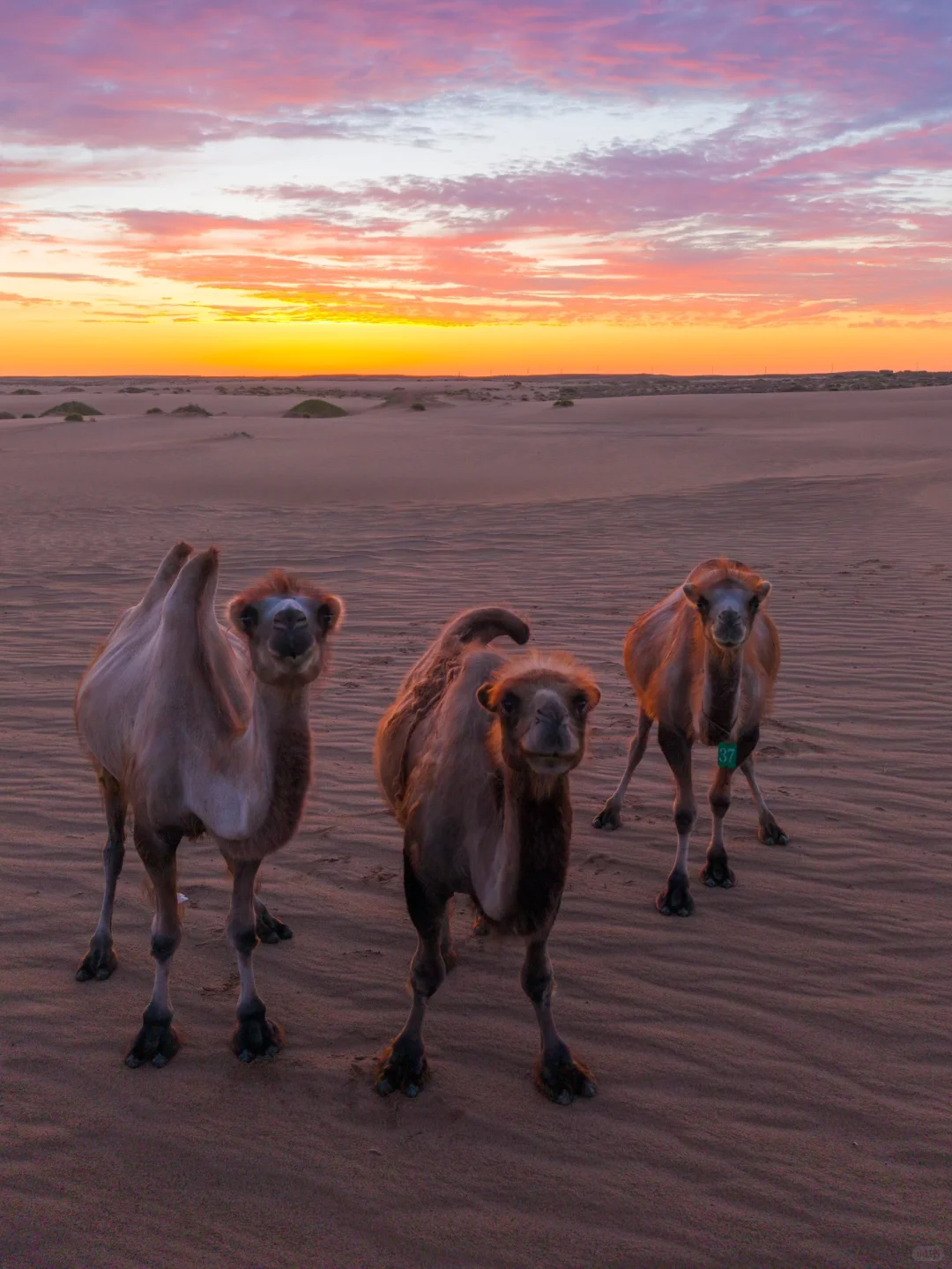 我很少用“震撼”形容一个地方……