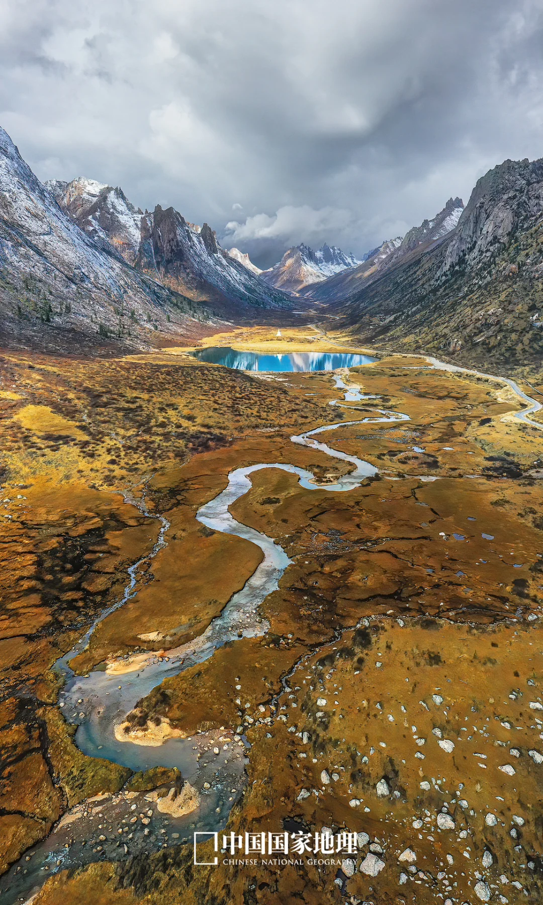 世界上，只有一个莲宝叶则！