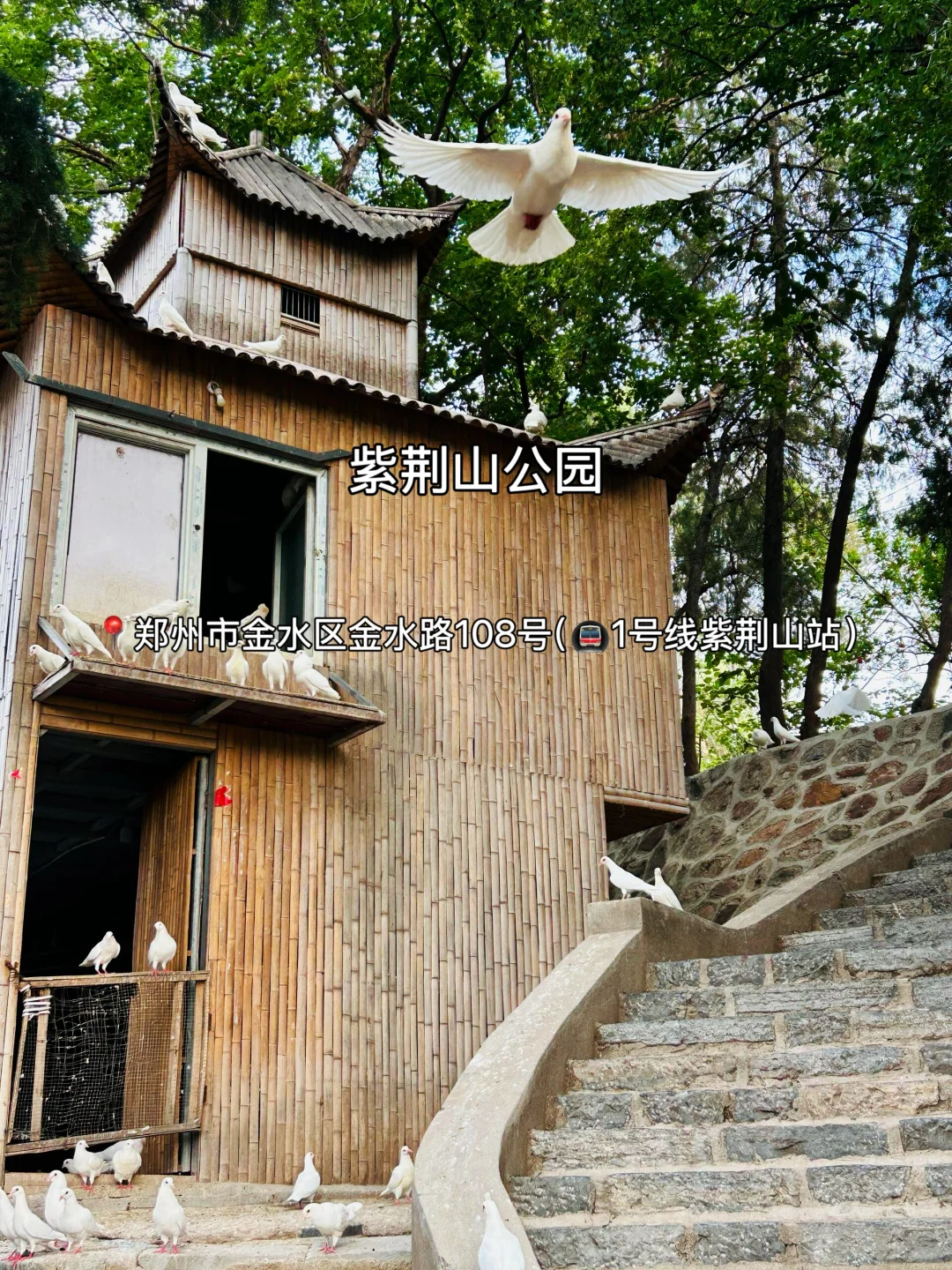 郑州十二大打卡点！来豫必看～