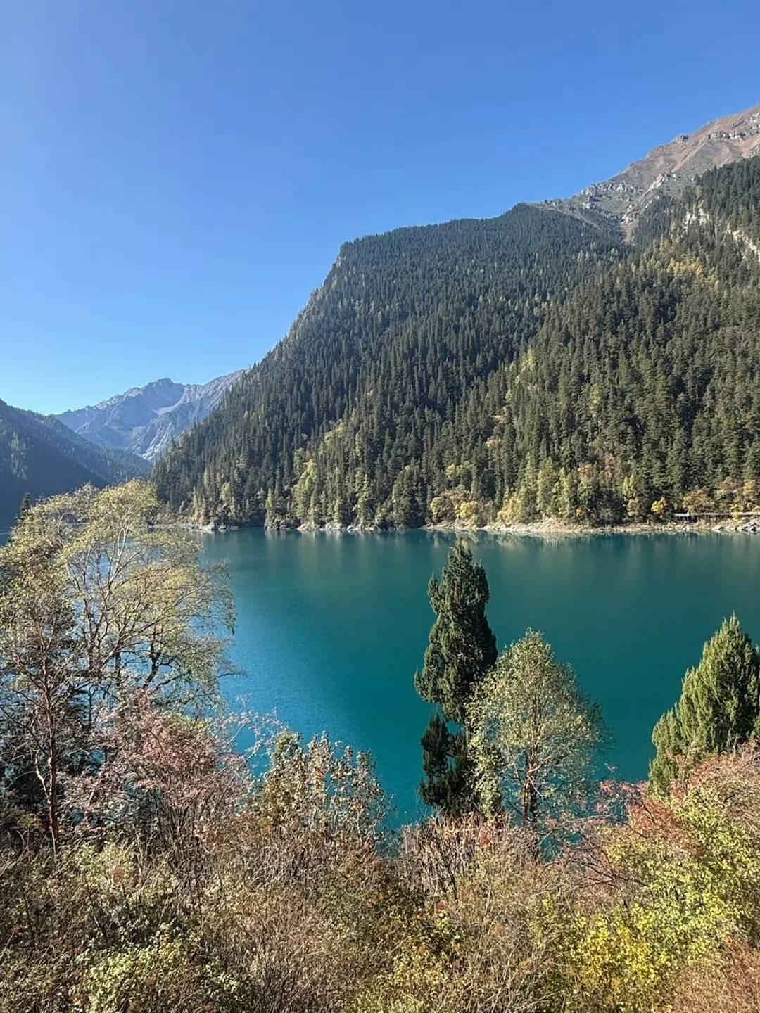 10.15📍九寨沟已遭罪，不要太离谱了。。