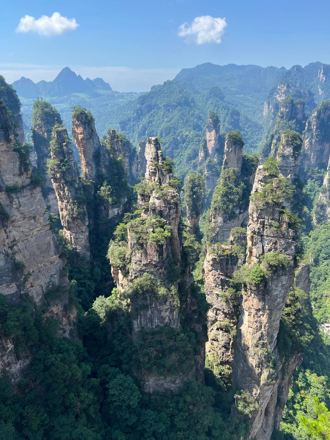 张家界旅游真不是你想那样🥲能劝一个是一个