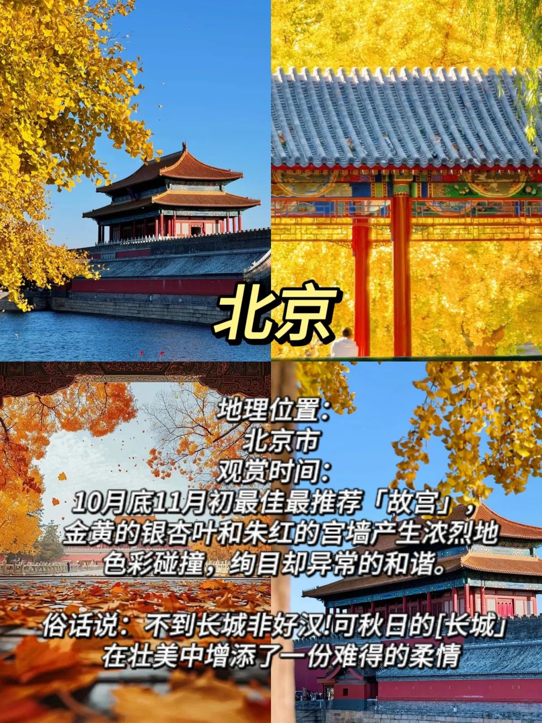 ✨适合11月赏秋的10个城市大合集🍁-