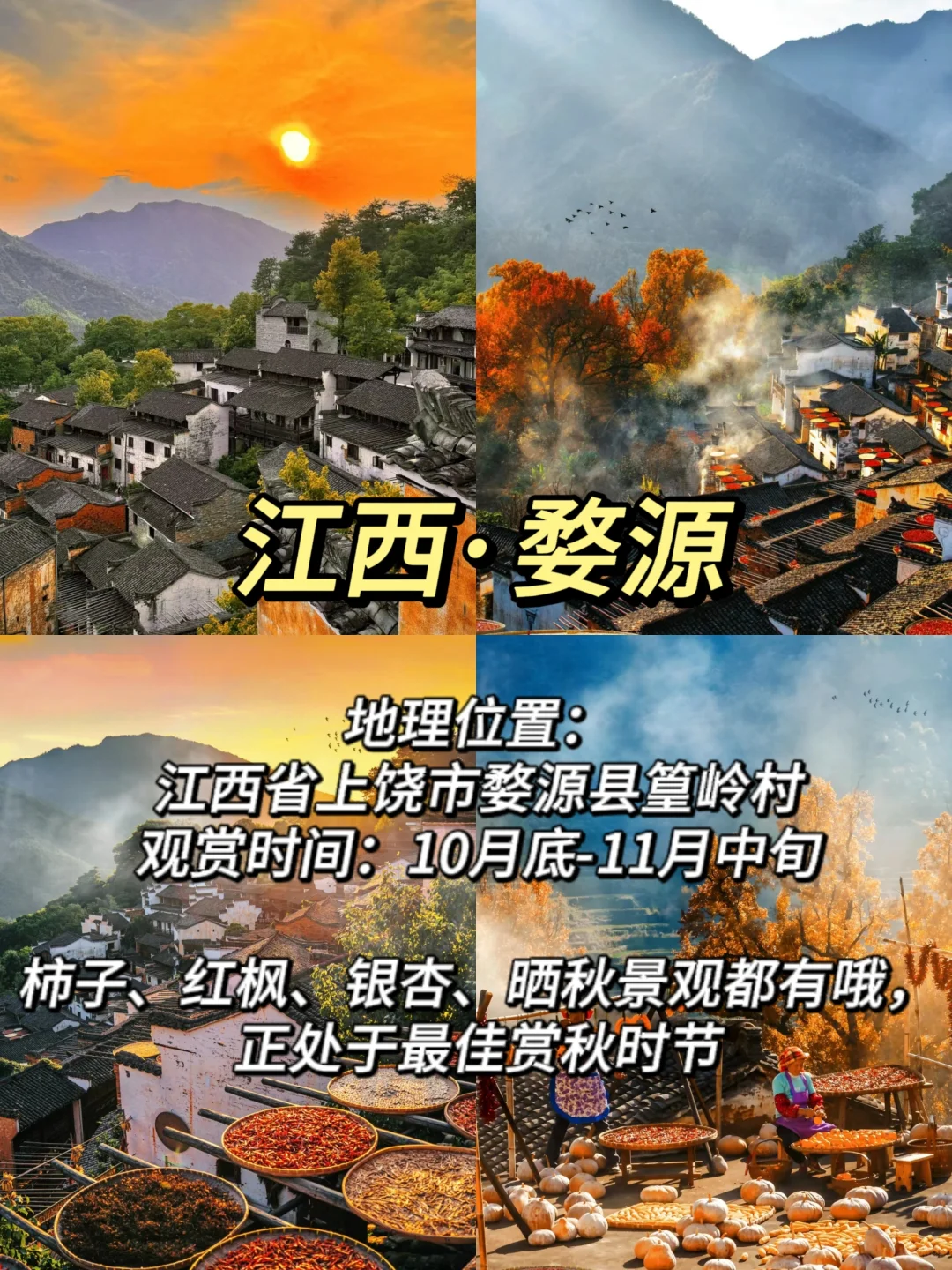 ✨适合11月赏秋的10个城市大合集🍁-