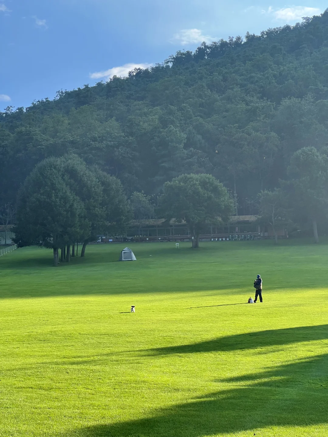 昆明40分钟,好像出国了一样,美哭了😭😭