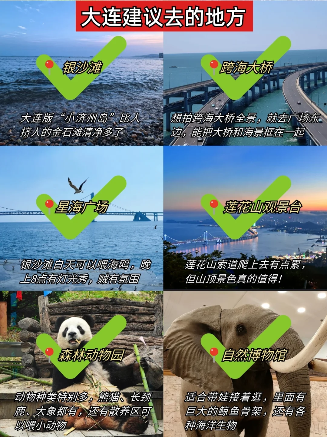 📍大连现状。。。记得要带外套！！！