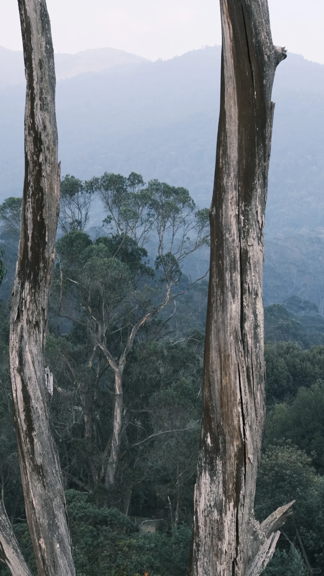 🇨🇴哥伦比亚·波哥大好去处 Monserrate⛰️
