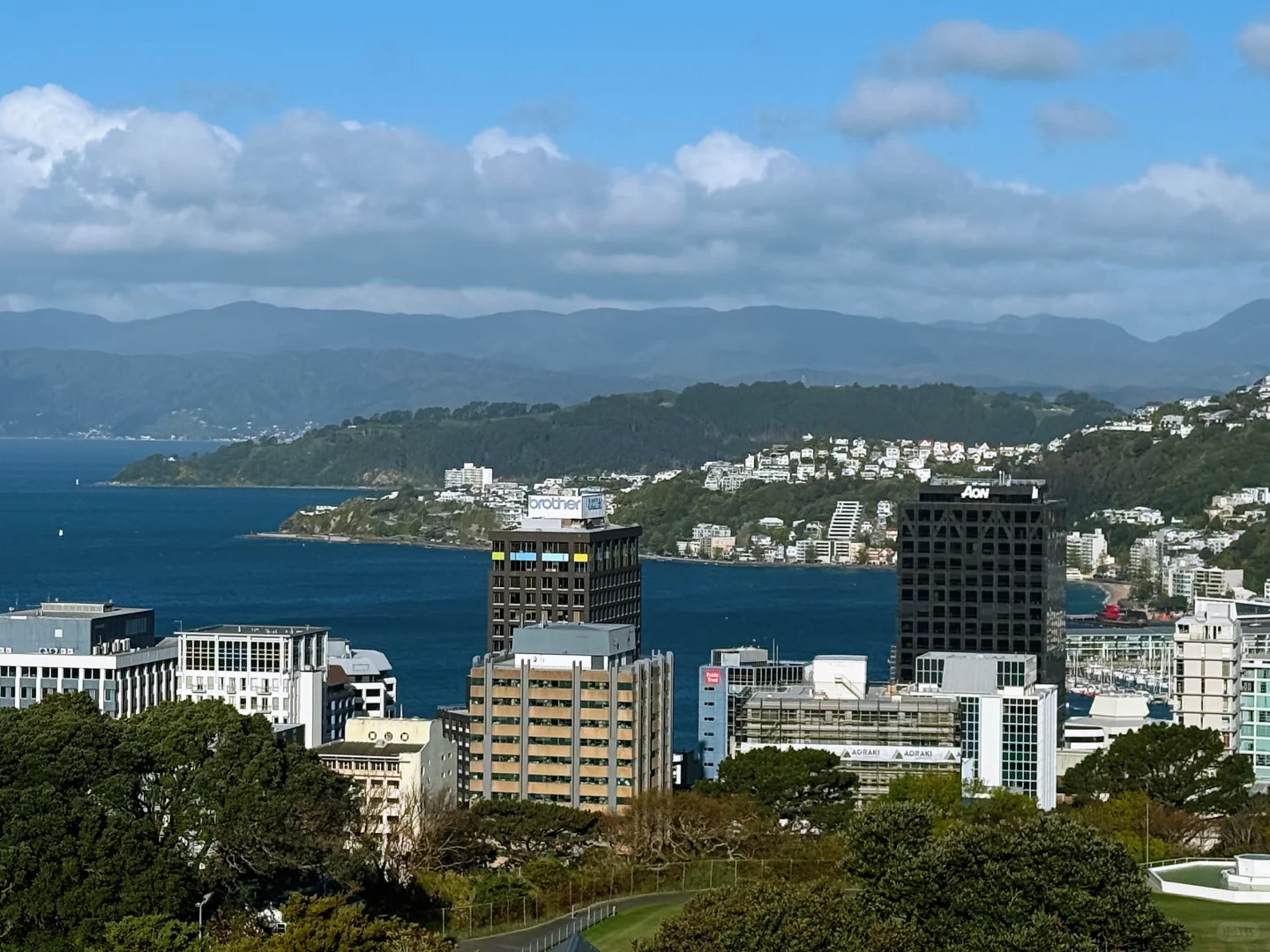 我愿称之为最酷小首都｜新西兰惠灵顿