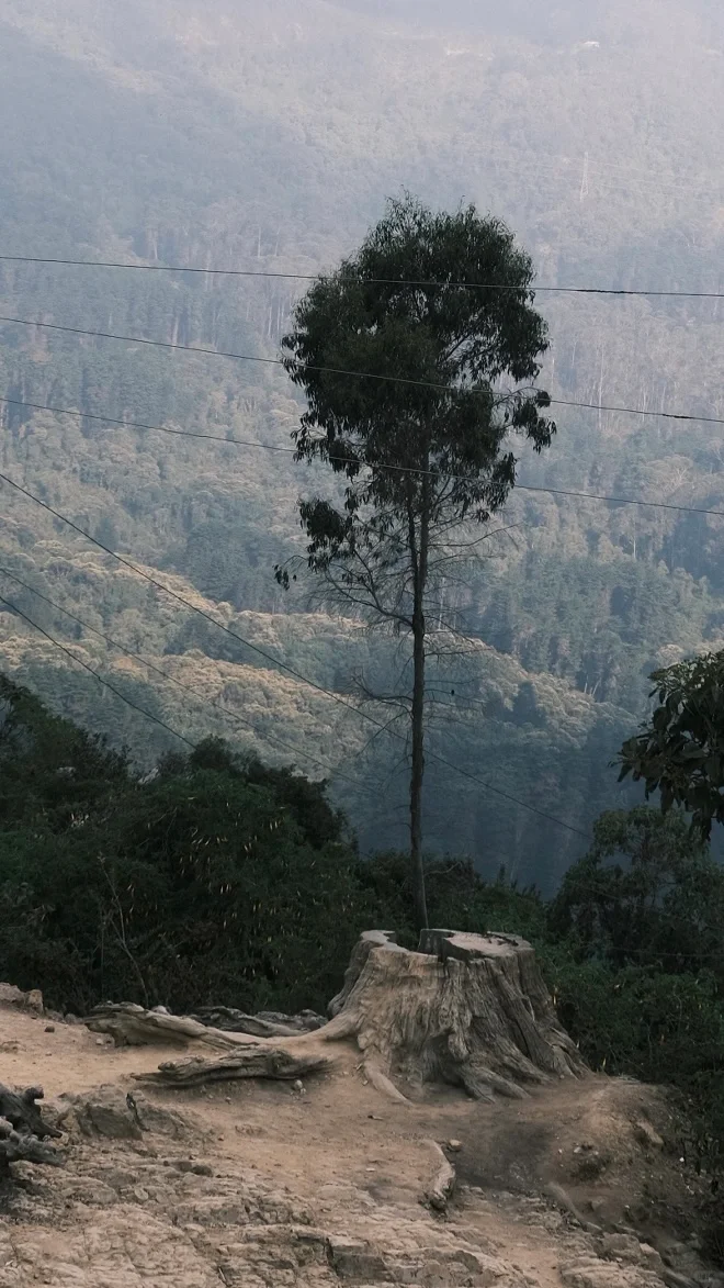 🇨🇴哥伦比亚·波哥大好去处 Monserrate⛰️