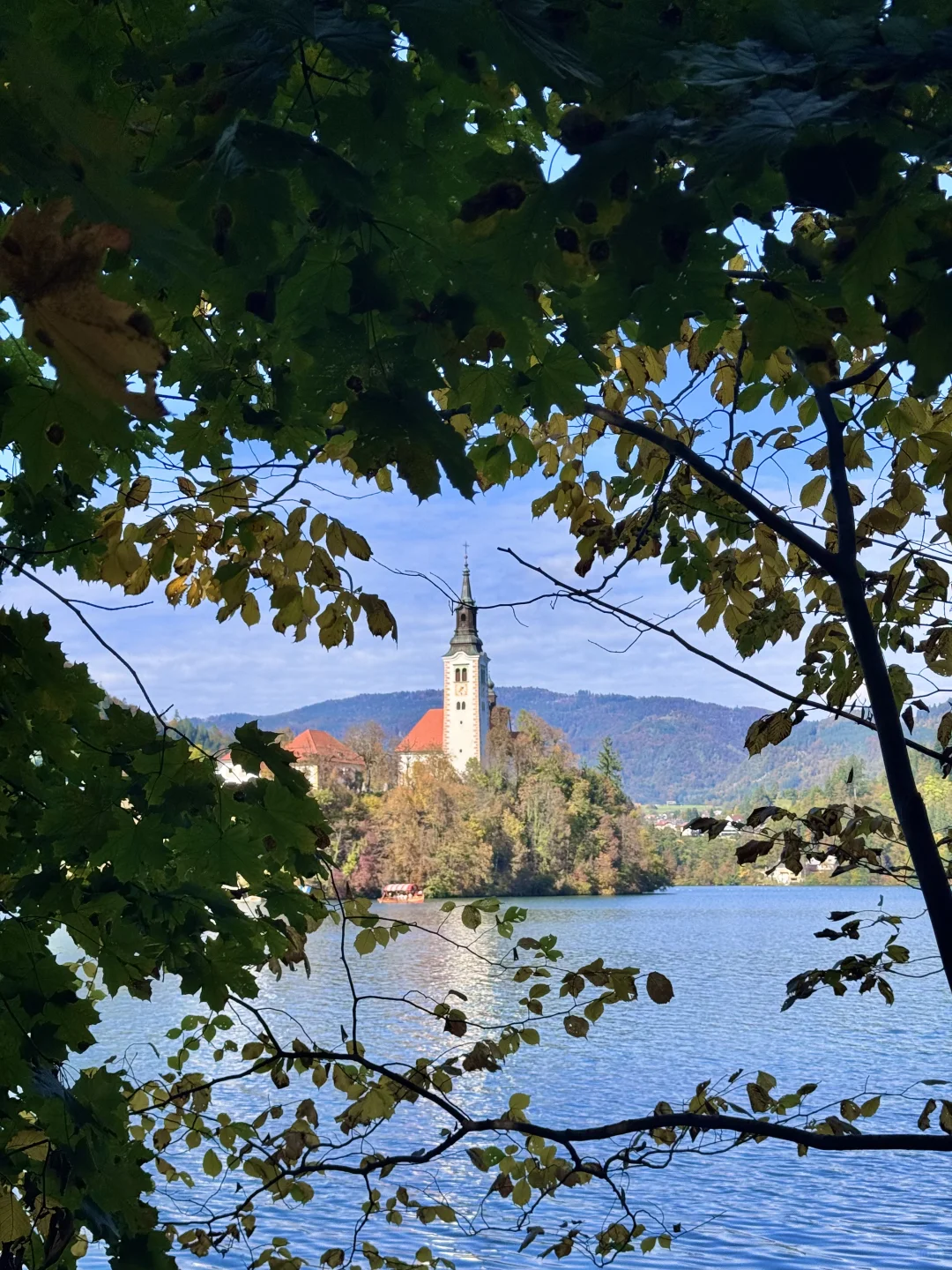 地球上怎么有人能这么幸福……