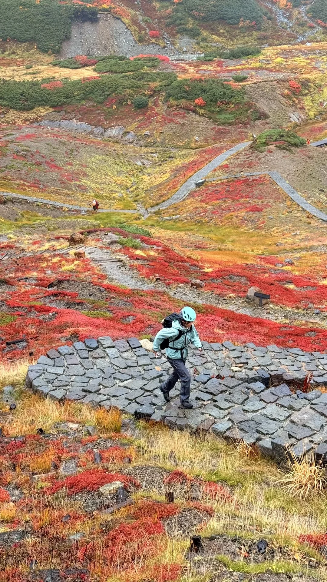 10.05油画立山🍁实况🧡💛❤️附拍照机位攻略