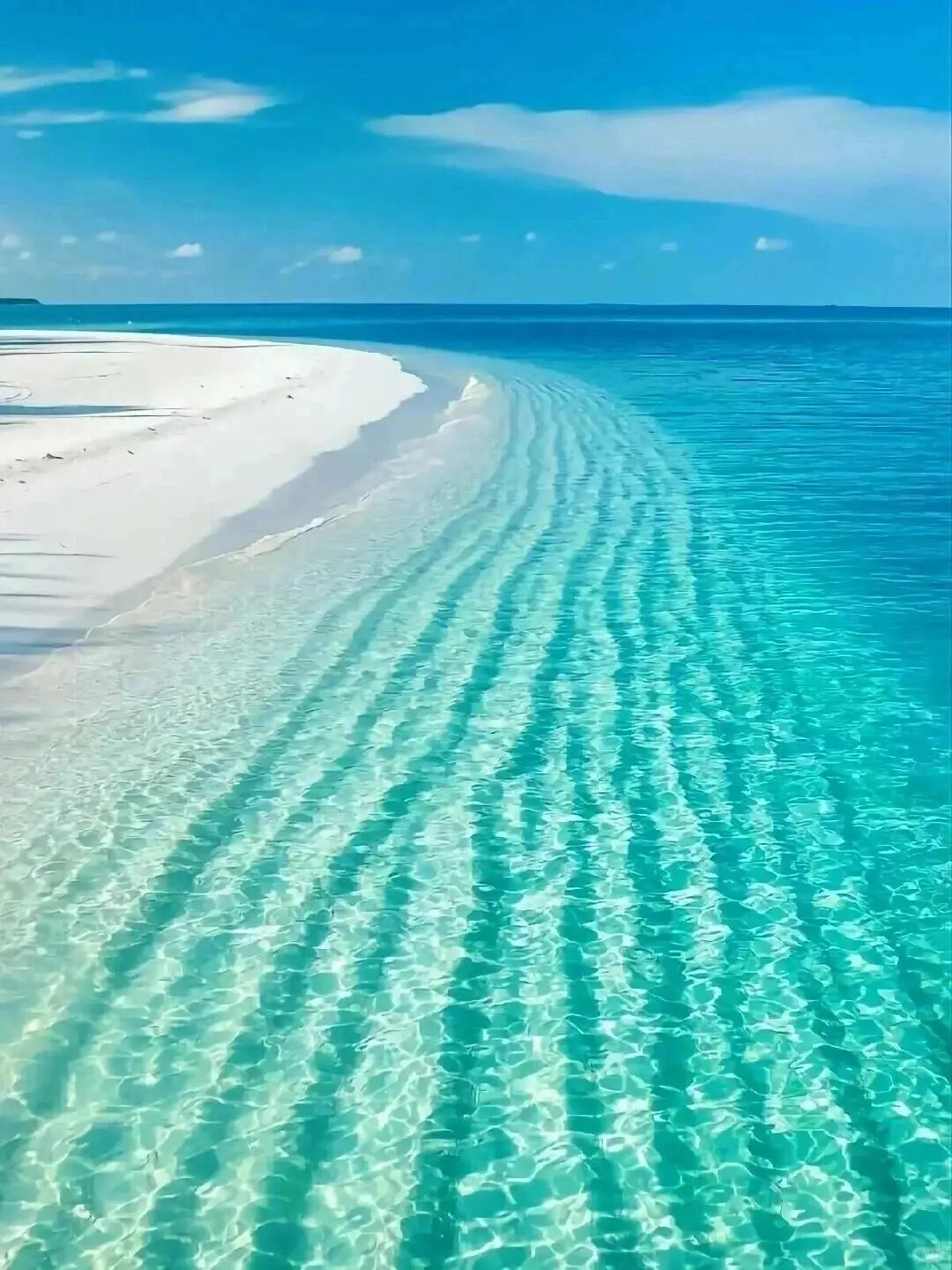 免签国斐济没人...😅春节便宜到怀疑人生