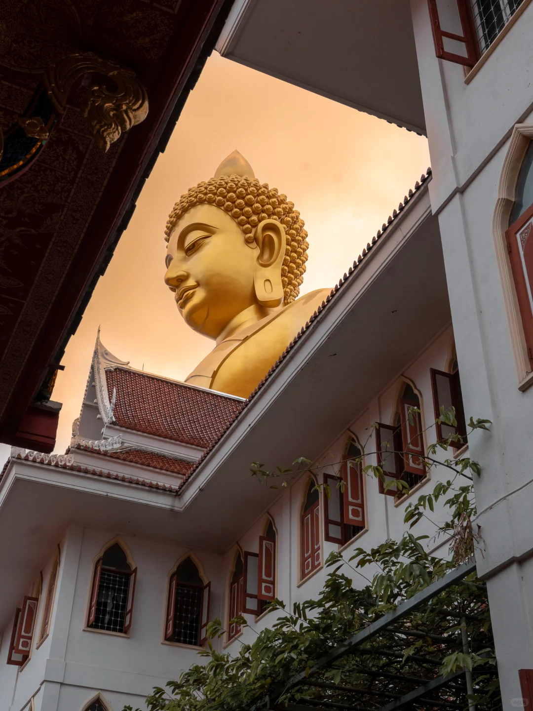 曼谷暴走3万步‼️这8张大佛机位发朋友圈问爆