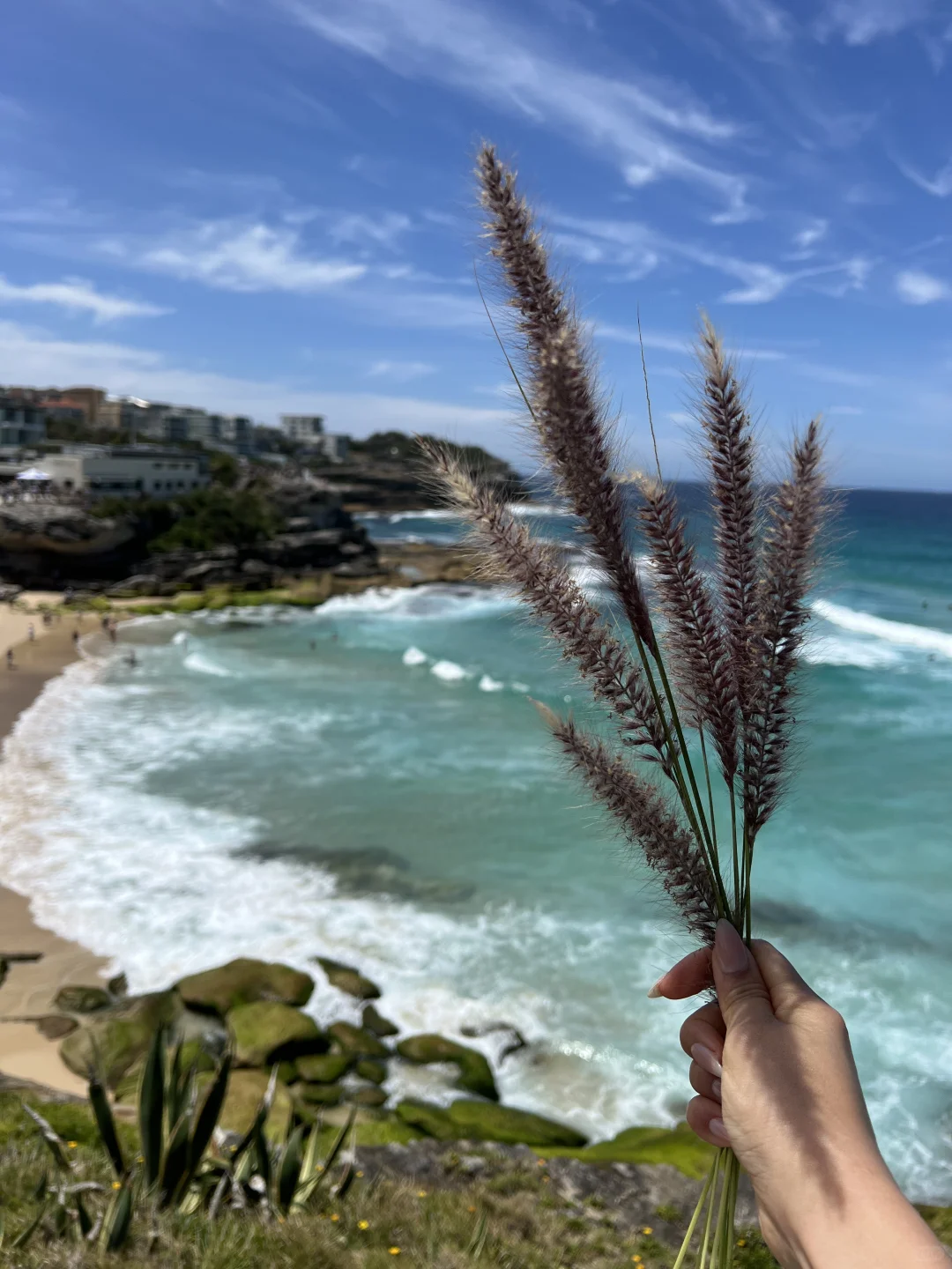 想和你再去看看海🩵