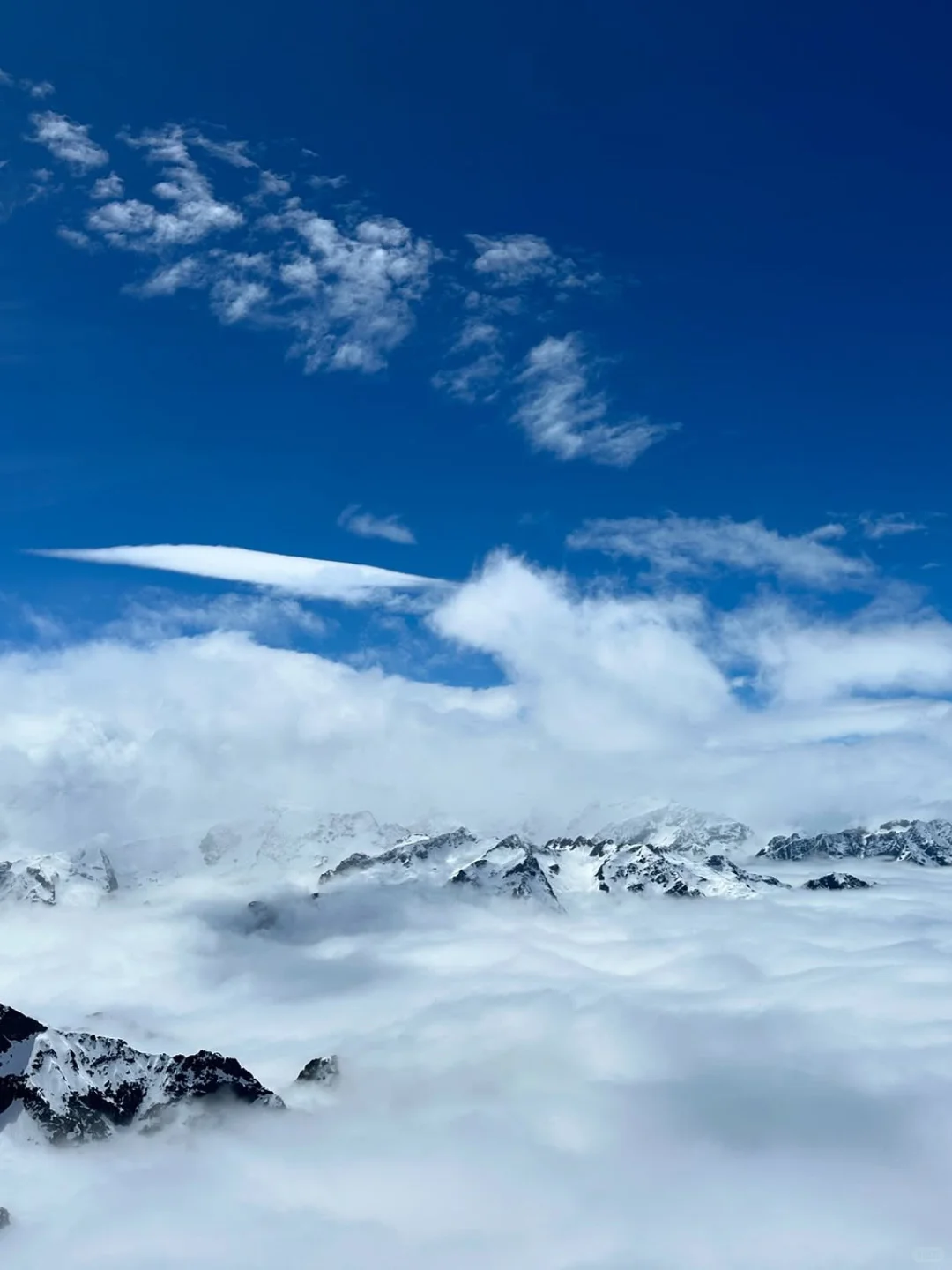 法意瑞刚回，对比3周12家旅行社心得