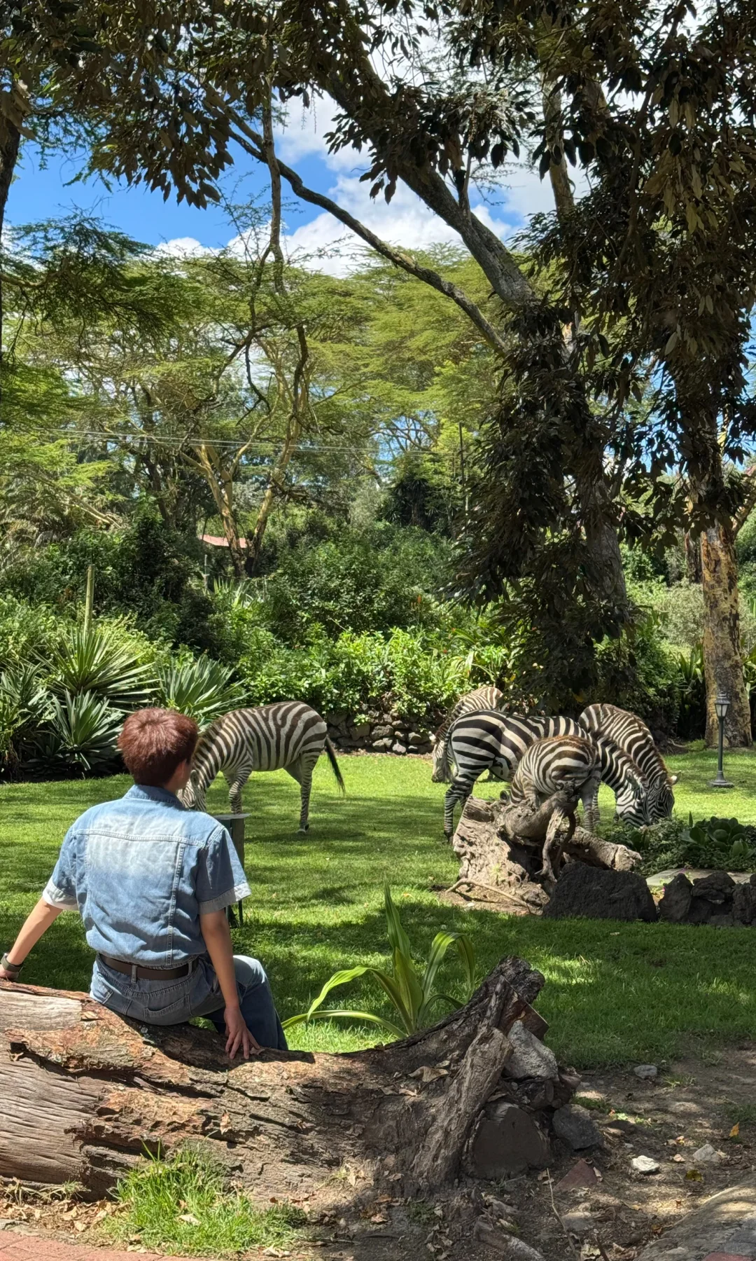 非洲的入门级酒店真的是刷新了我的旅行认知
