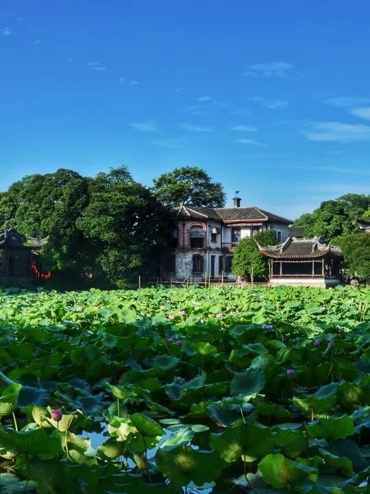 浙江周边游，这6个景点，不允许你错过❗