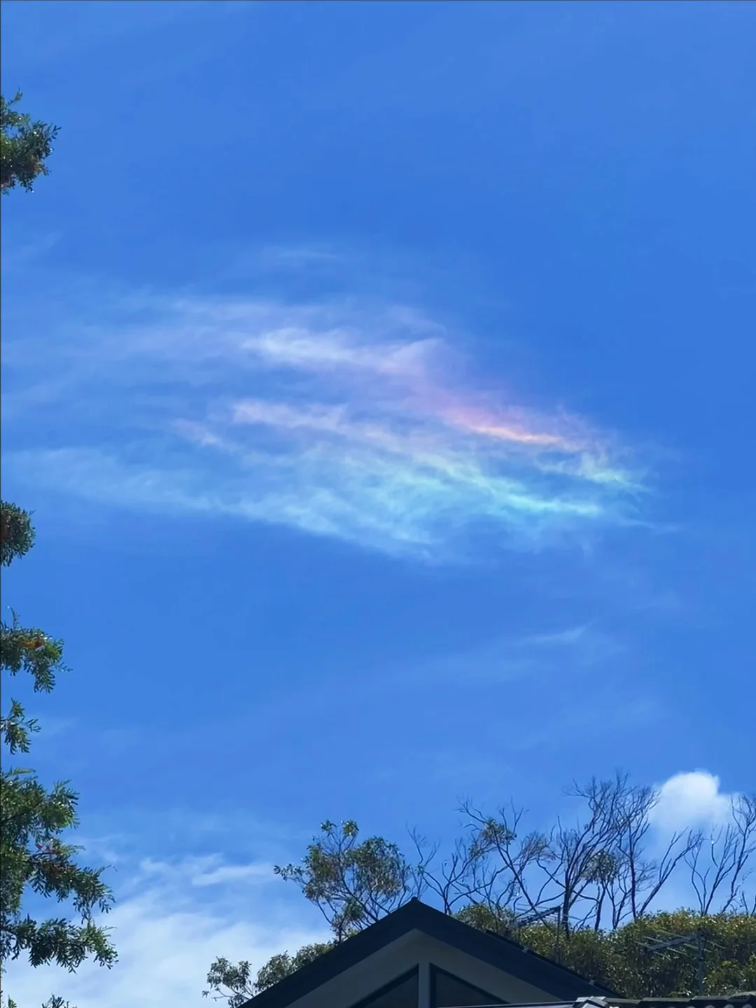 想和你再去看看海🩵