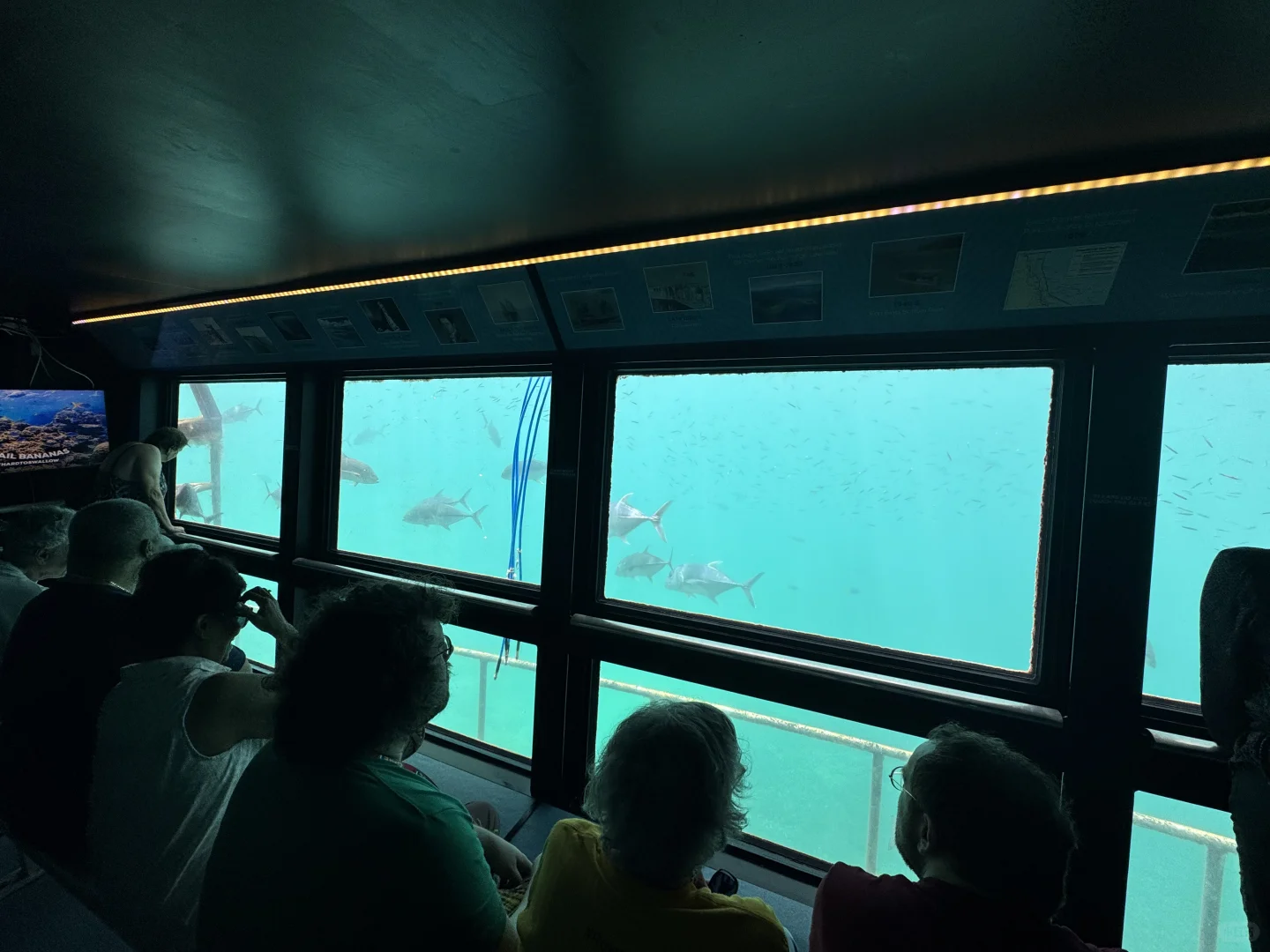 世界自然遗产大堡礁✅