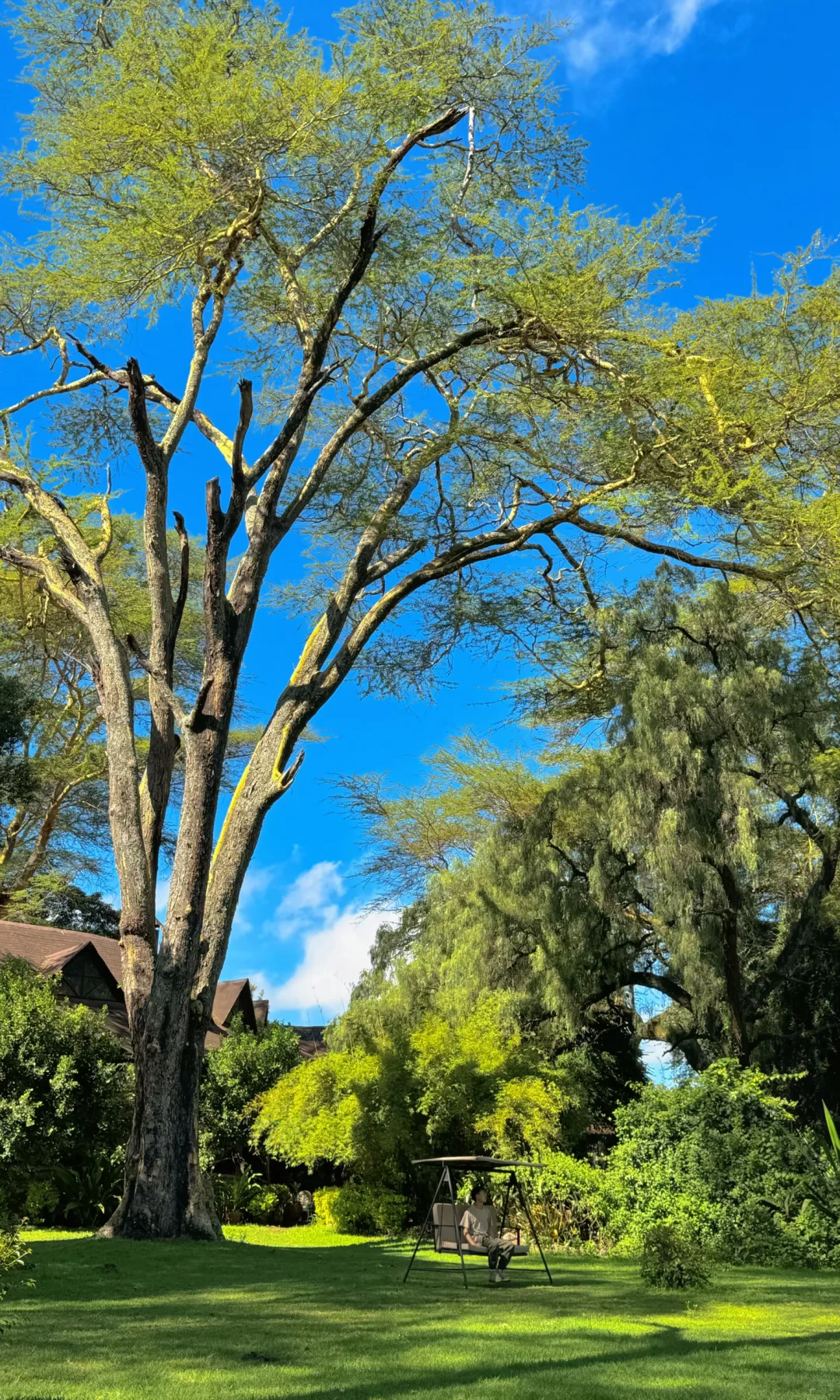 非洲的入门级酒店真的是刷新了我的旅行认知