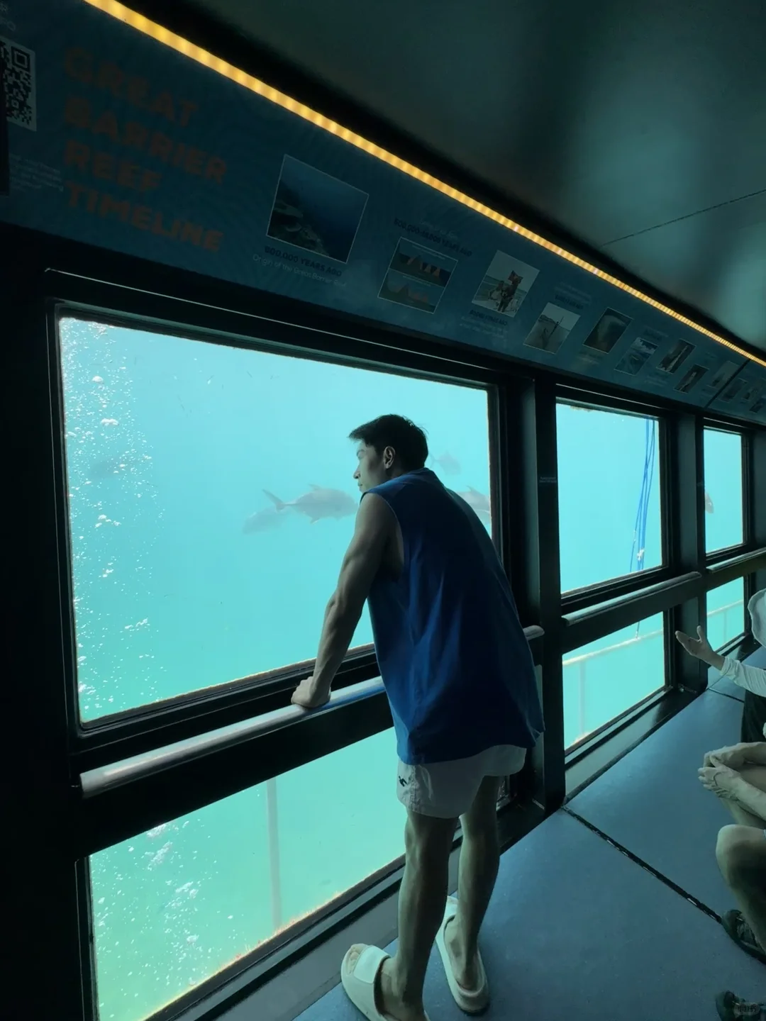 世界自然遗产大堡礁✅