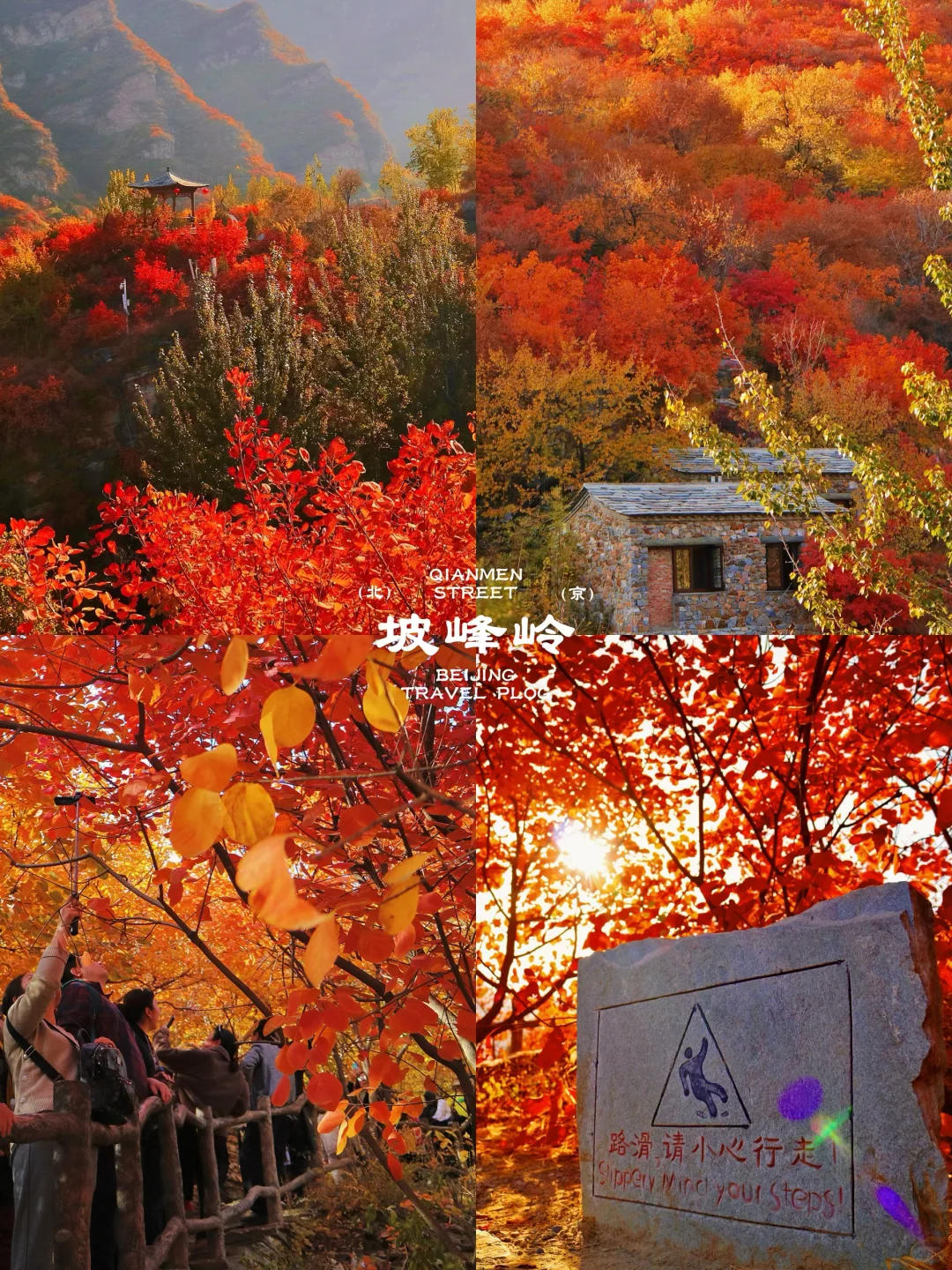 北京这❾个秋游地🍁真的祛魅不了一点‼️