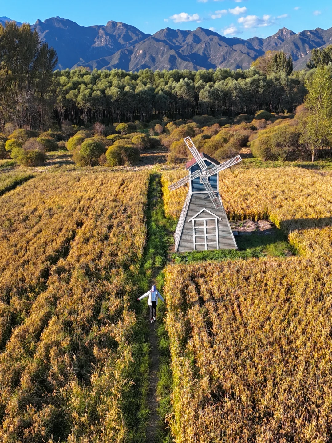 北京这❾个秋游地🍁真的祛魅不了一点‼️