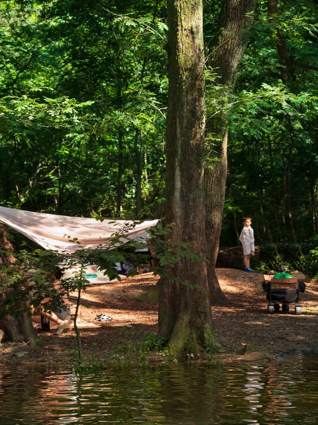 河南真正的绿野仙踪🌲好治愈