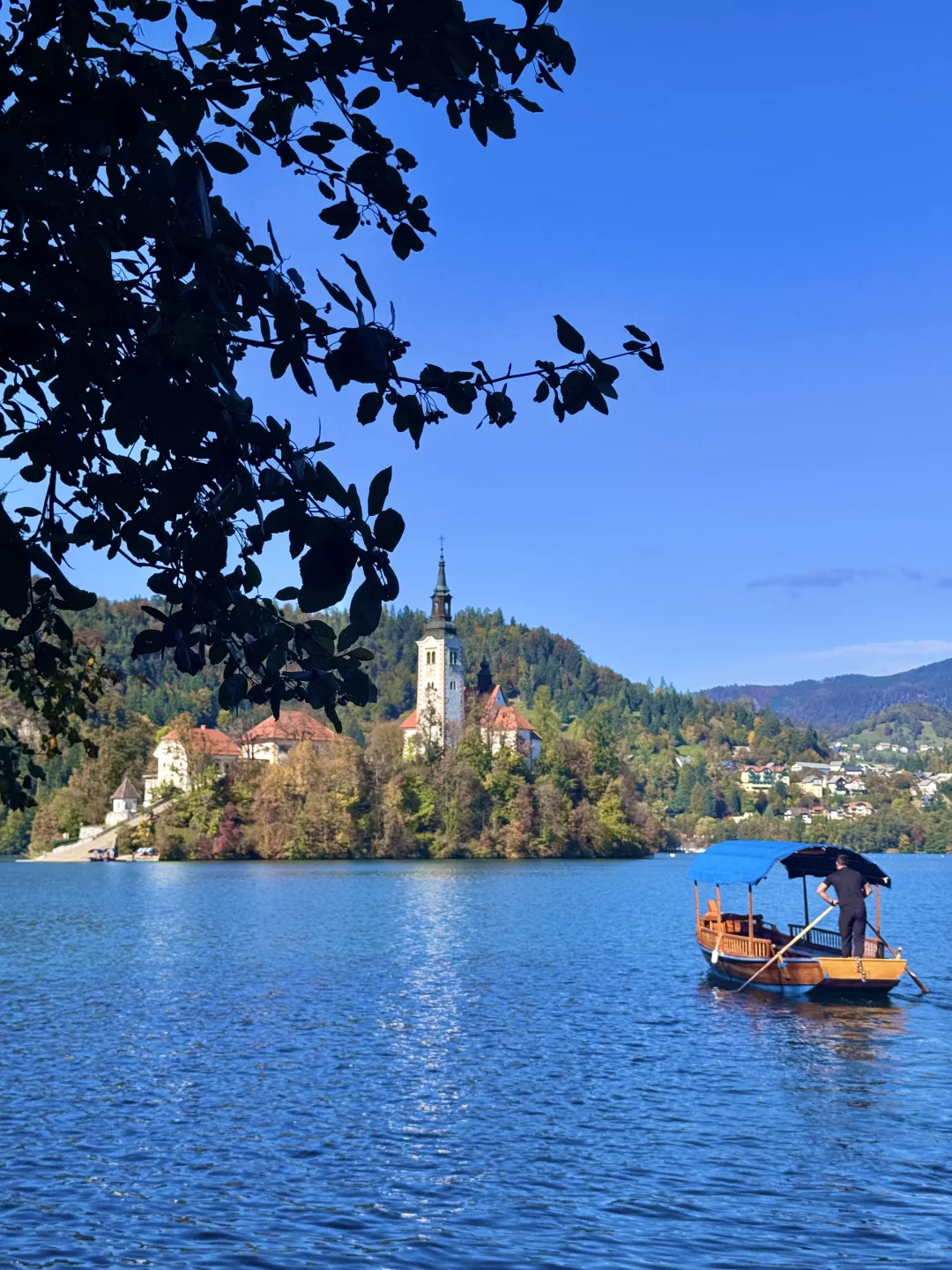 地球上怎么有人能这么幸福……