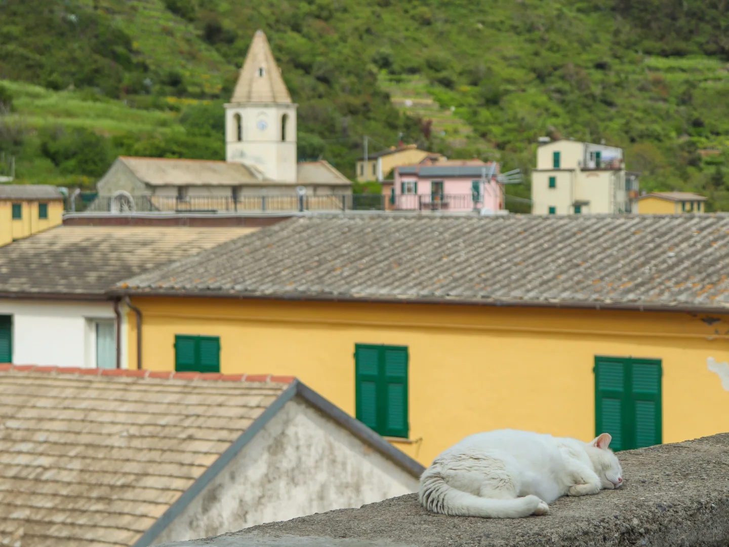 喜欢小众海岸旅行的快来❗️🇮🇹利古里亚推荐