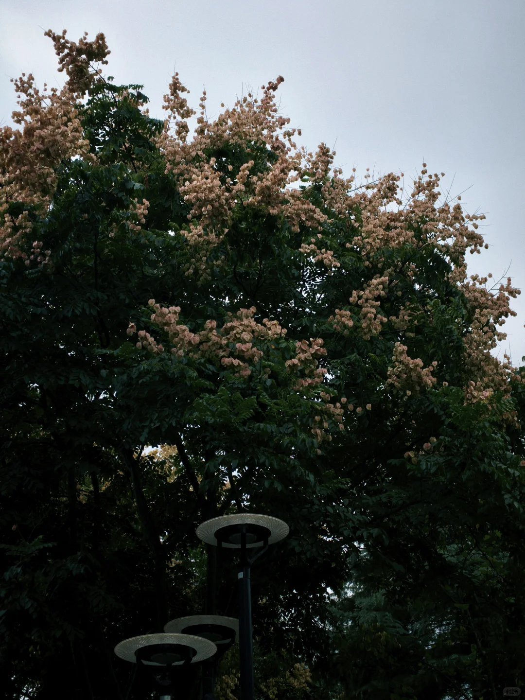 石湖真的是一个巨大的能量场