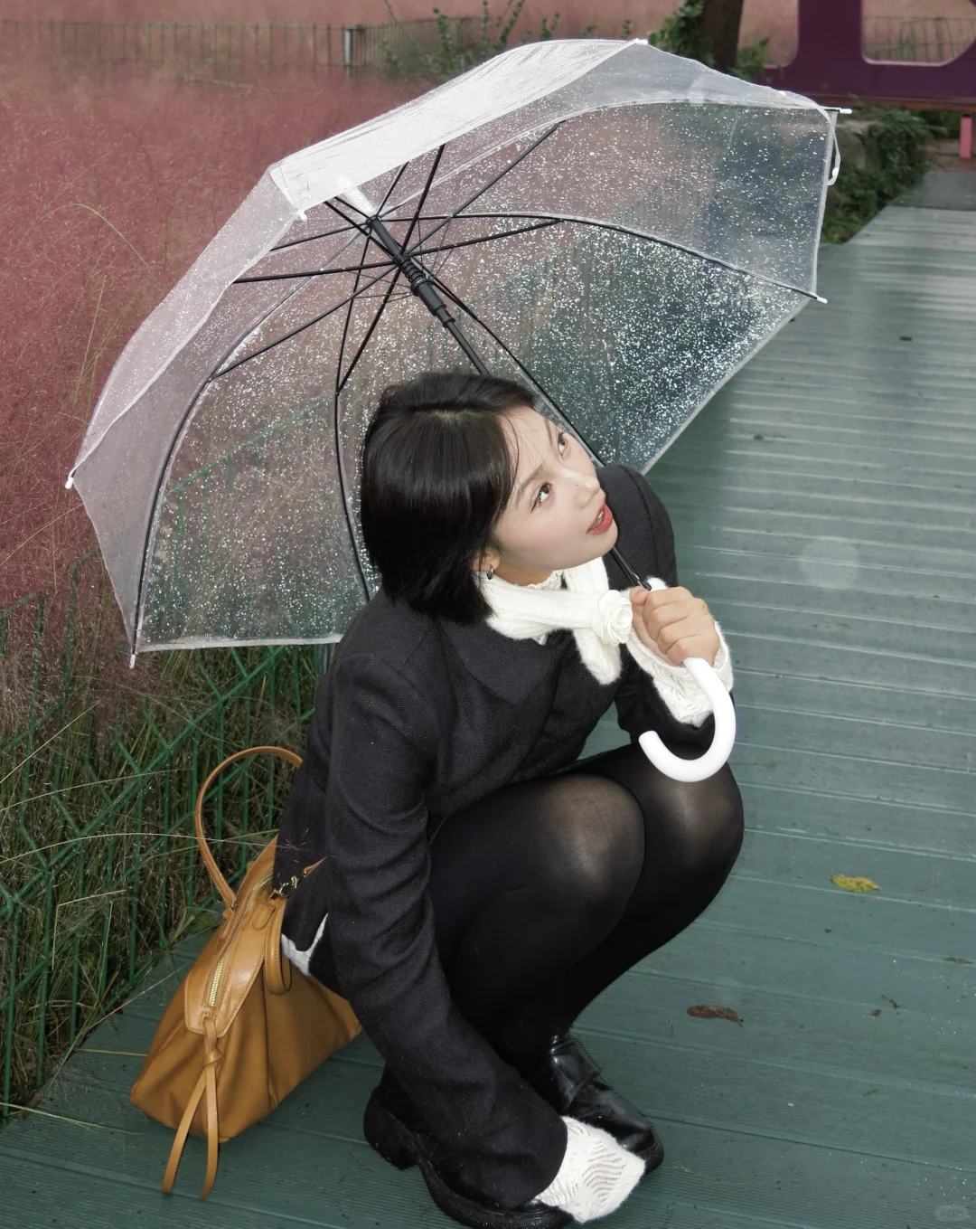 千万不要错过邯郸粉黛❗阴天都美到犯规❗❗